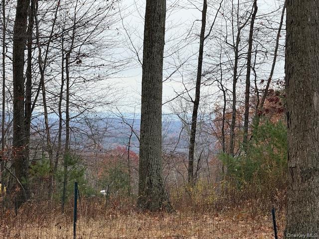 532 Roosa Gap Road, Bloomingburg, NY 12721