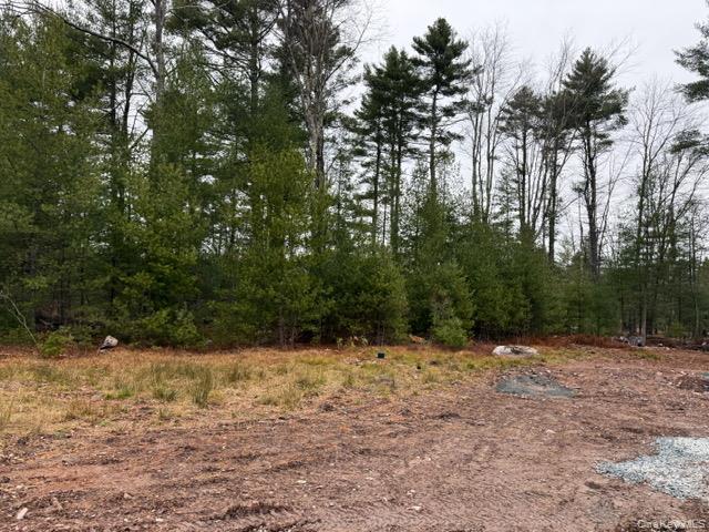 2757 State Route 42, Forestburgh, NY 12777