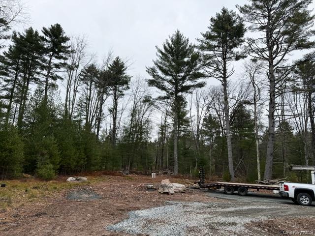 2757 State Route 42, Forestburgh, NY 12777