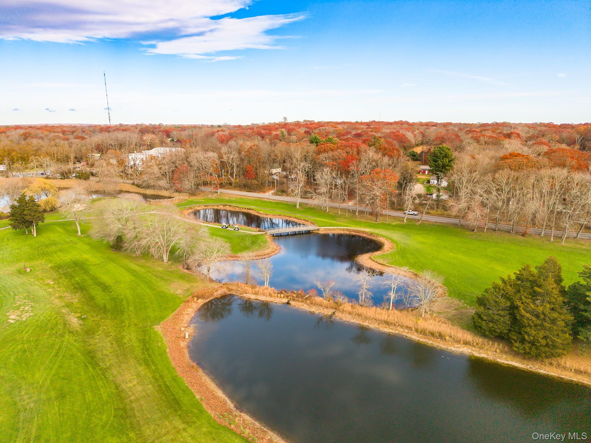 19 Saddlebrook Court, Middle Island, NY 11953