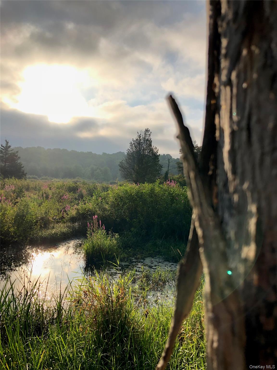 789 Salisbury Turnpike, Red Hook, NY 12571