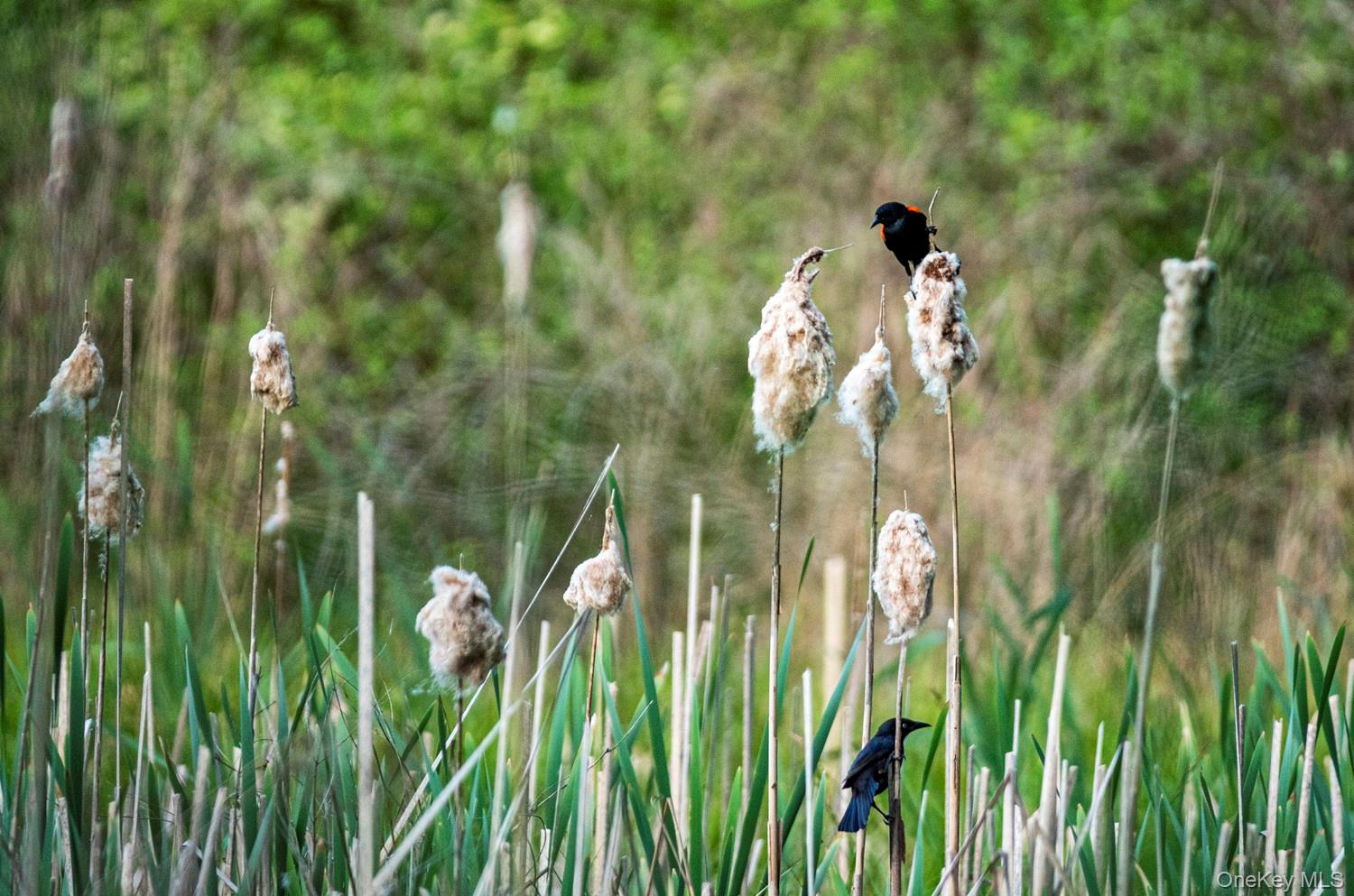 789 Salisbury Turnpike, Red Hook, NY 12571