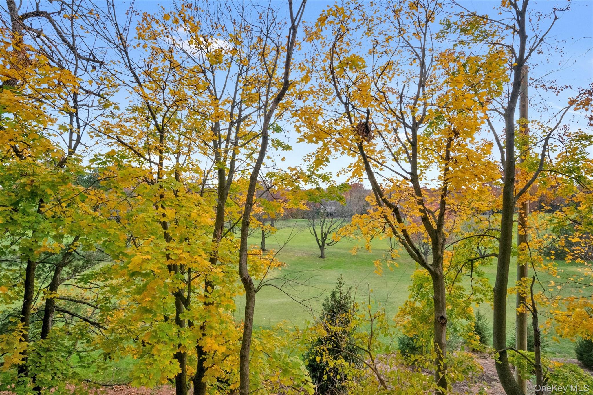 4810 Boston Post Road # 2D, Pelham, NY 10803