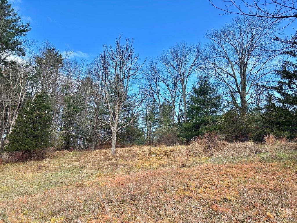 335 Tempaloni Rd, Spring Glen, NY 12483