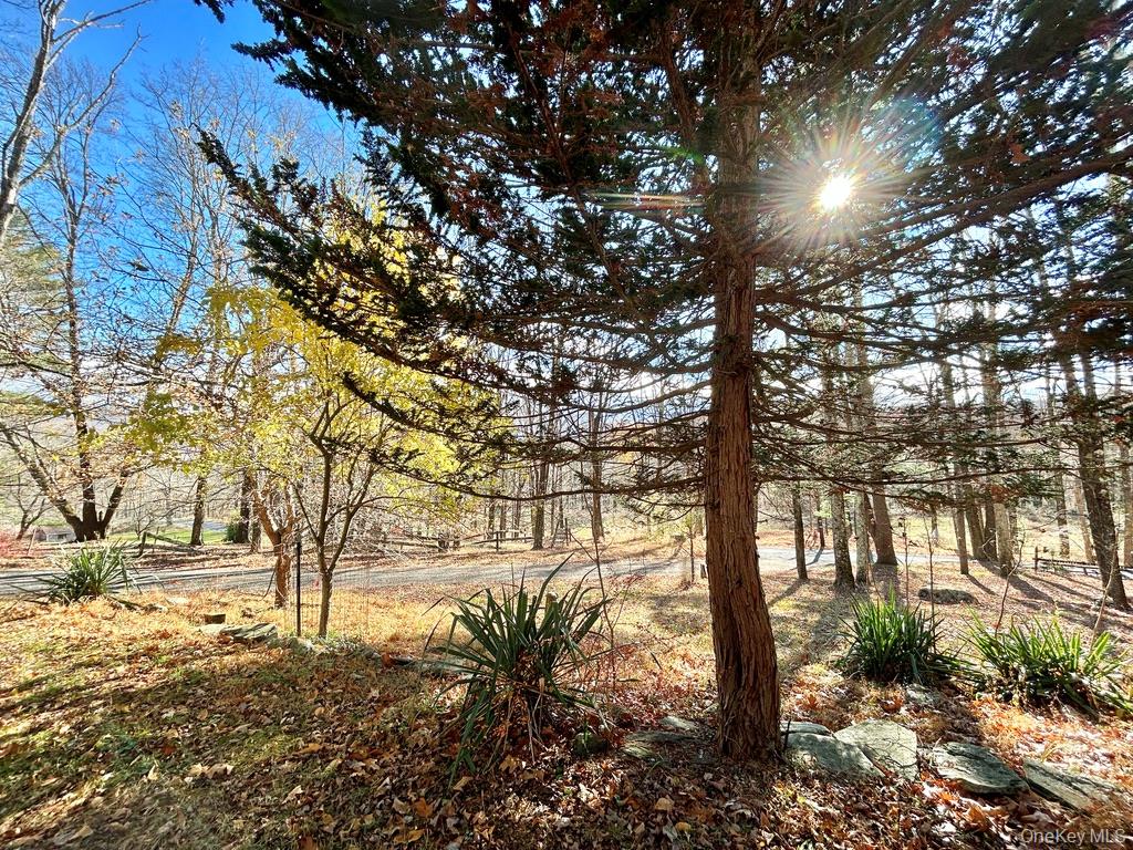 335 Tempaloni Rd, Spring Glen, NY 12483