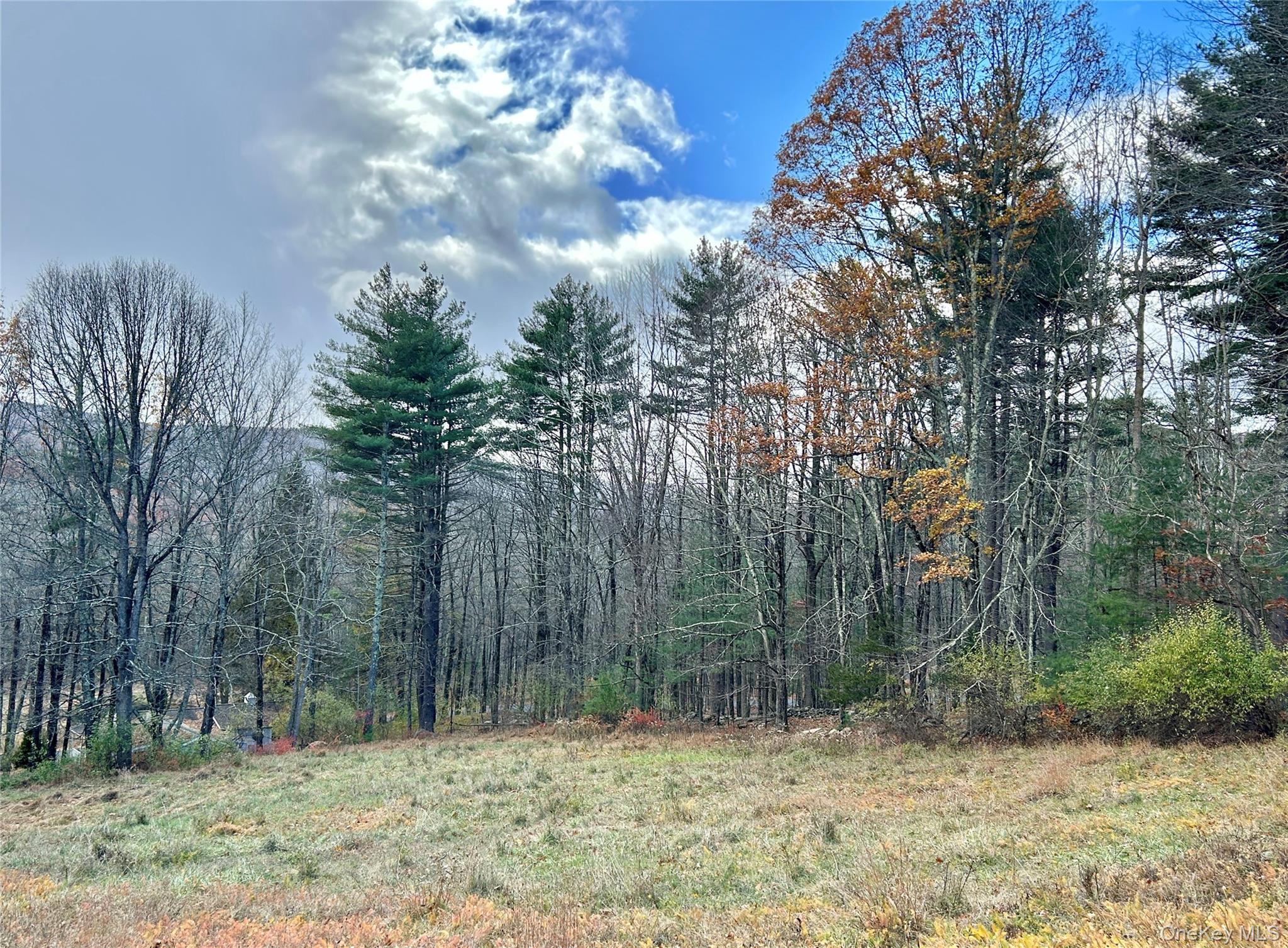 335 Tempaloni Rd, Spring Glen, NY 12483