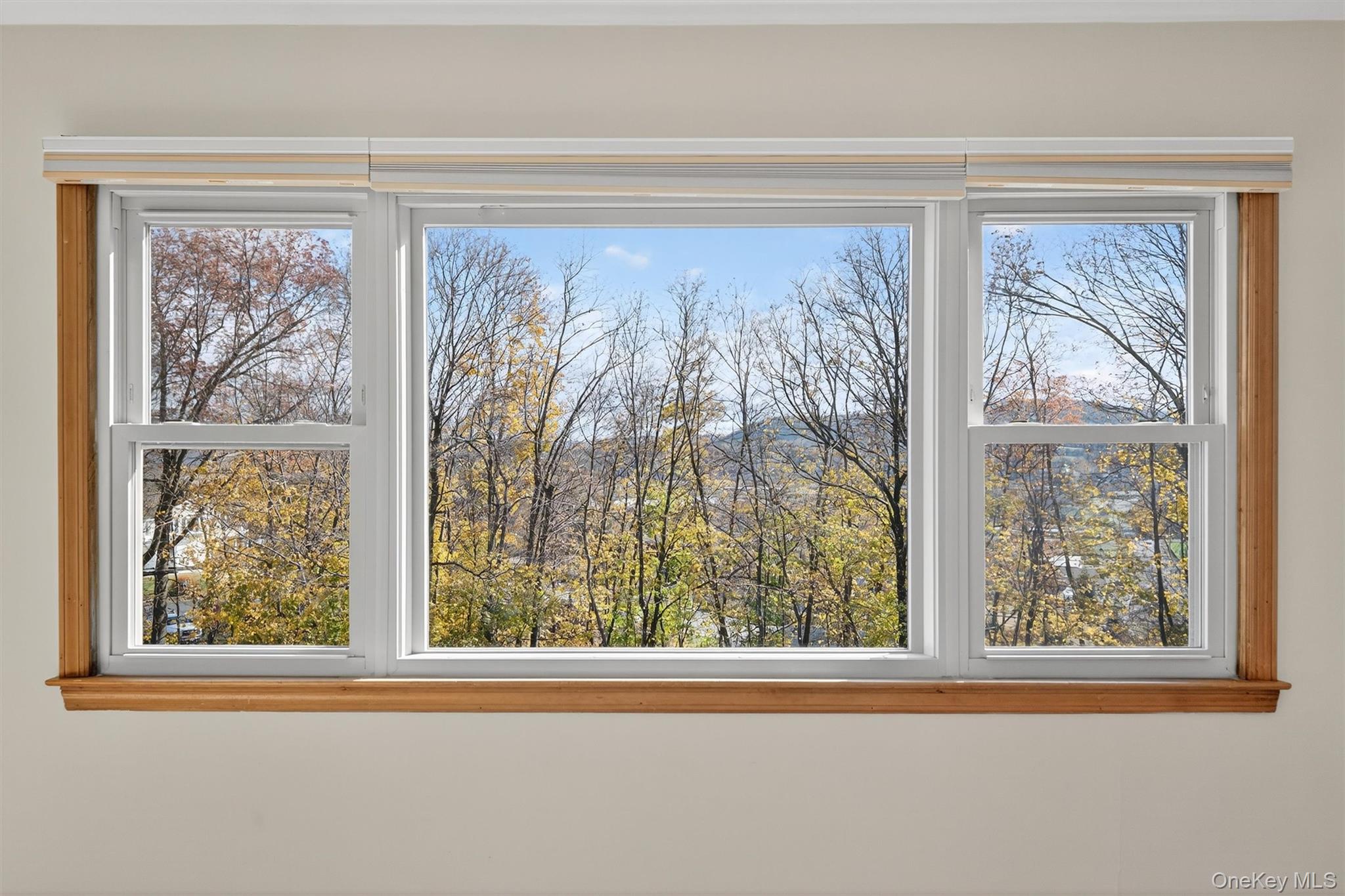 18 Oakland Avenue, Chester, NY 10918