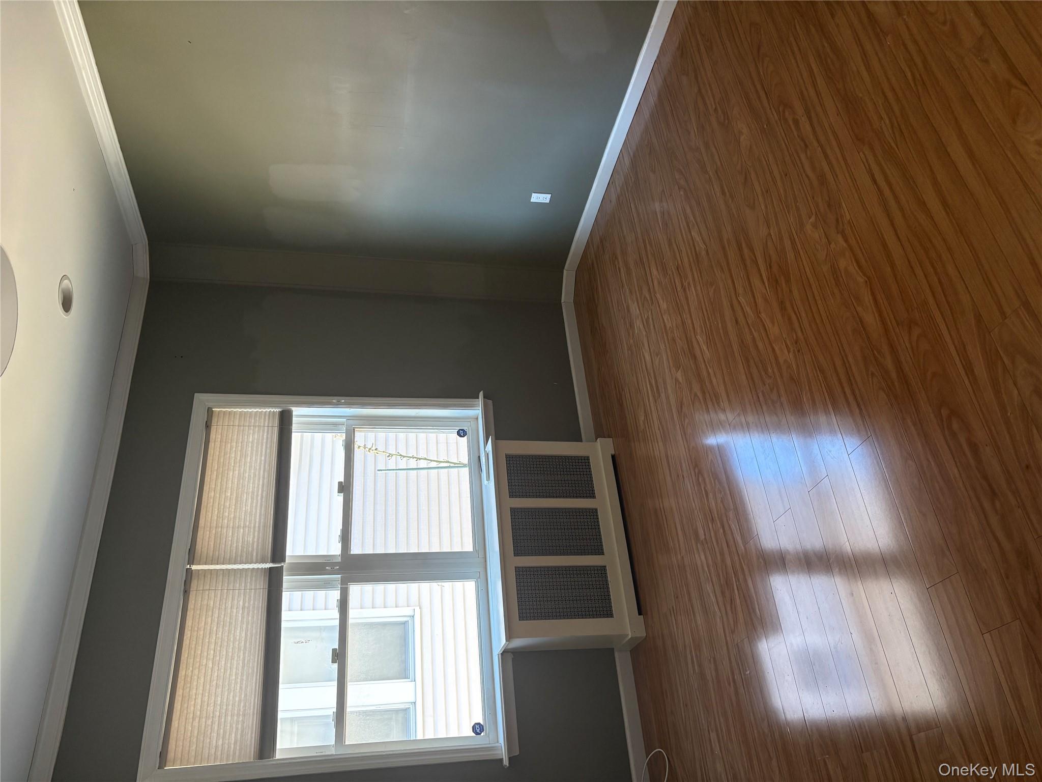 176 Garfield Avenue, Mineola, NY 11501