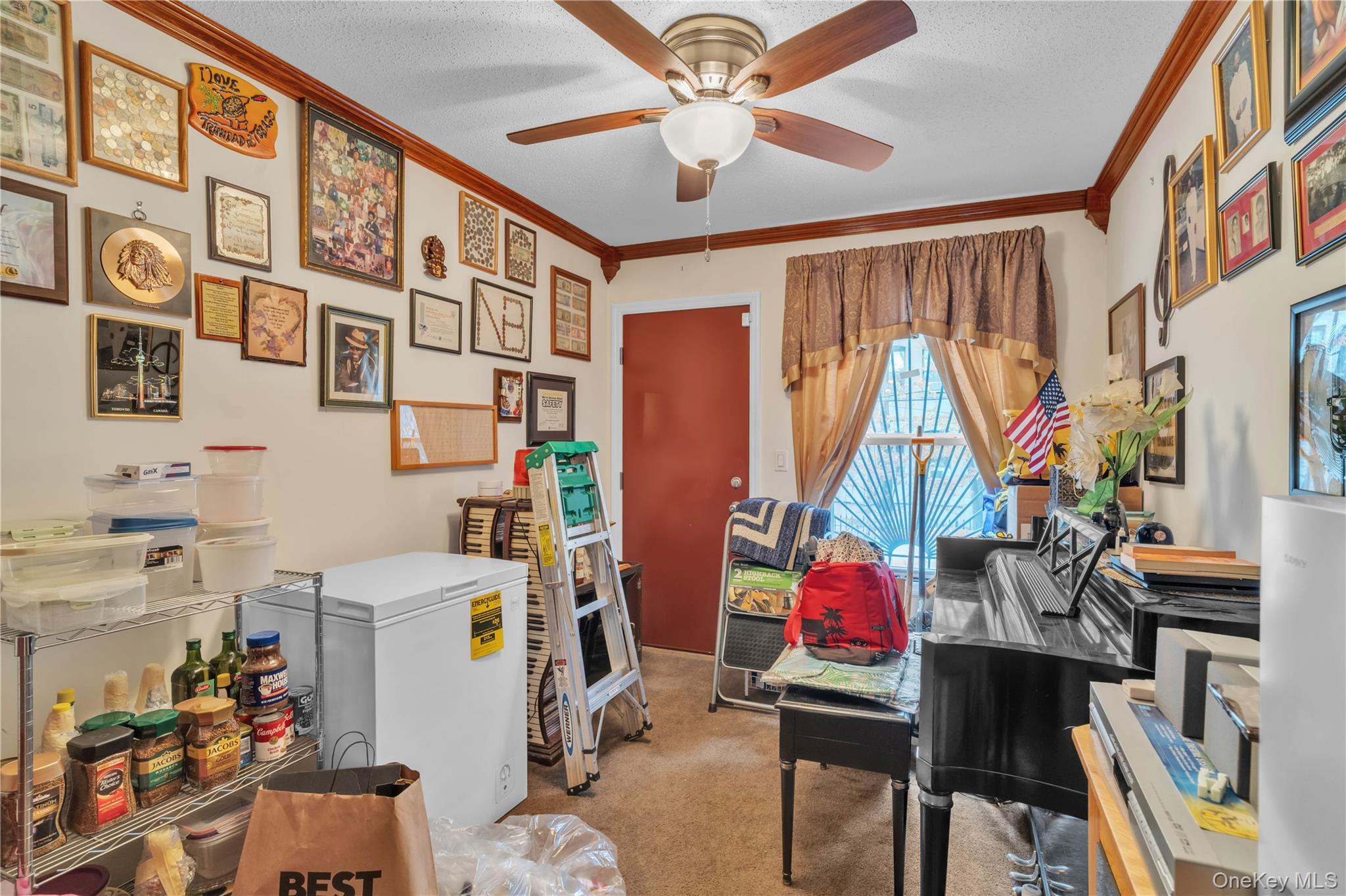 221 Macdougal Street, Brooklyn, NY 11233