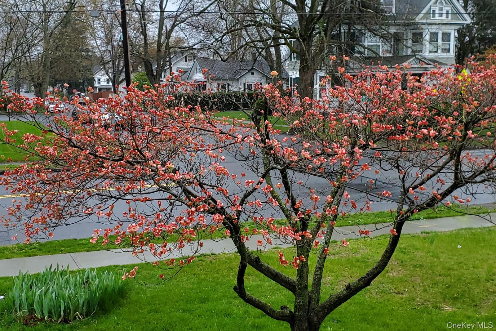 361 Albany Avenue, Kingston, NY 12401