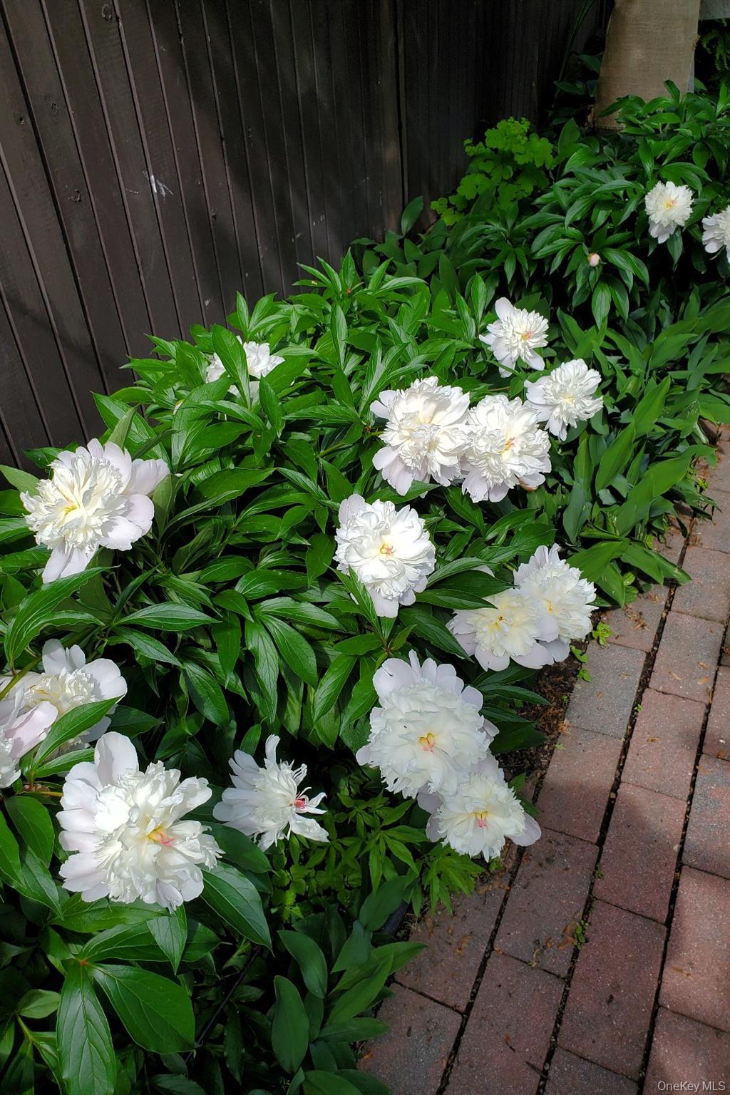 361 Albany Avenue, Kingston, NY 12401