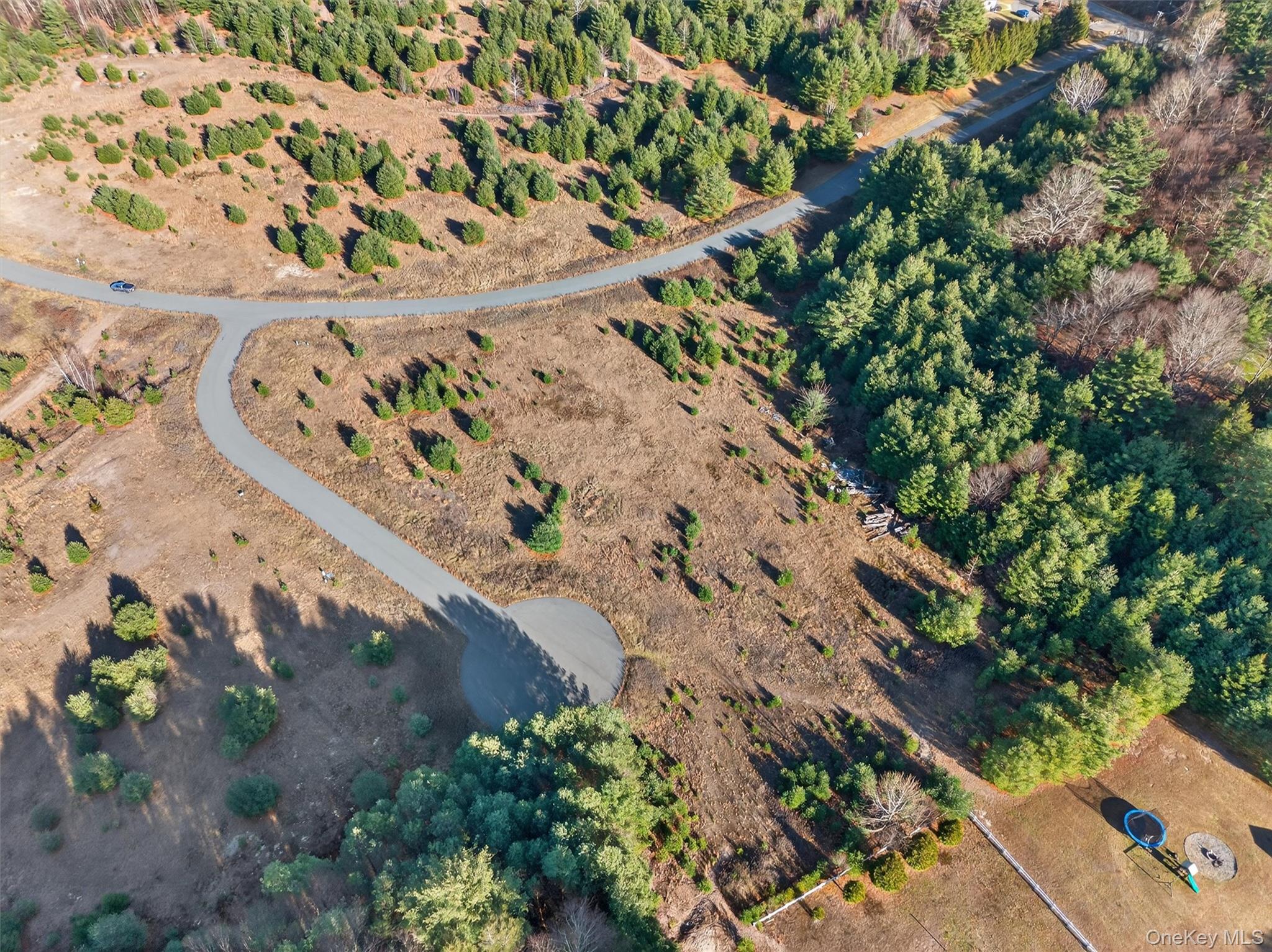 Marsh Road, Fallsburg, NY 12733