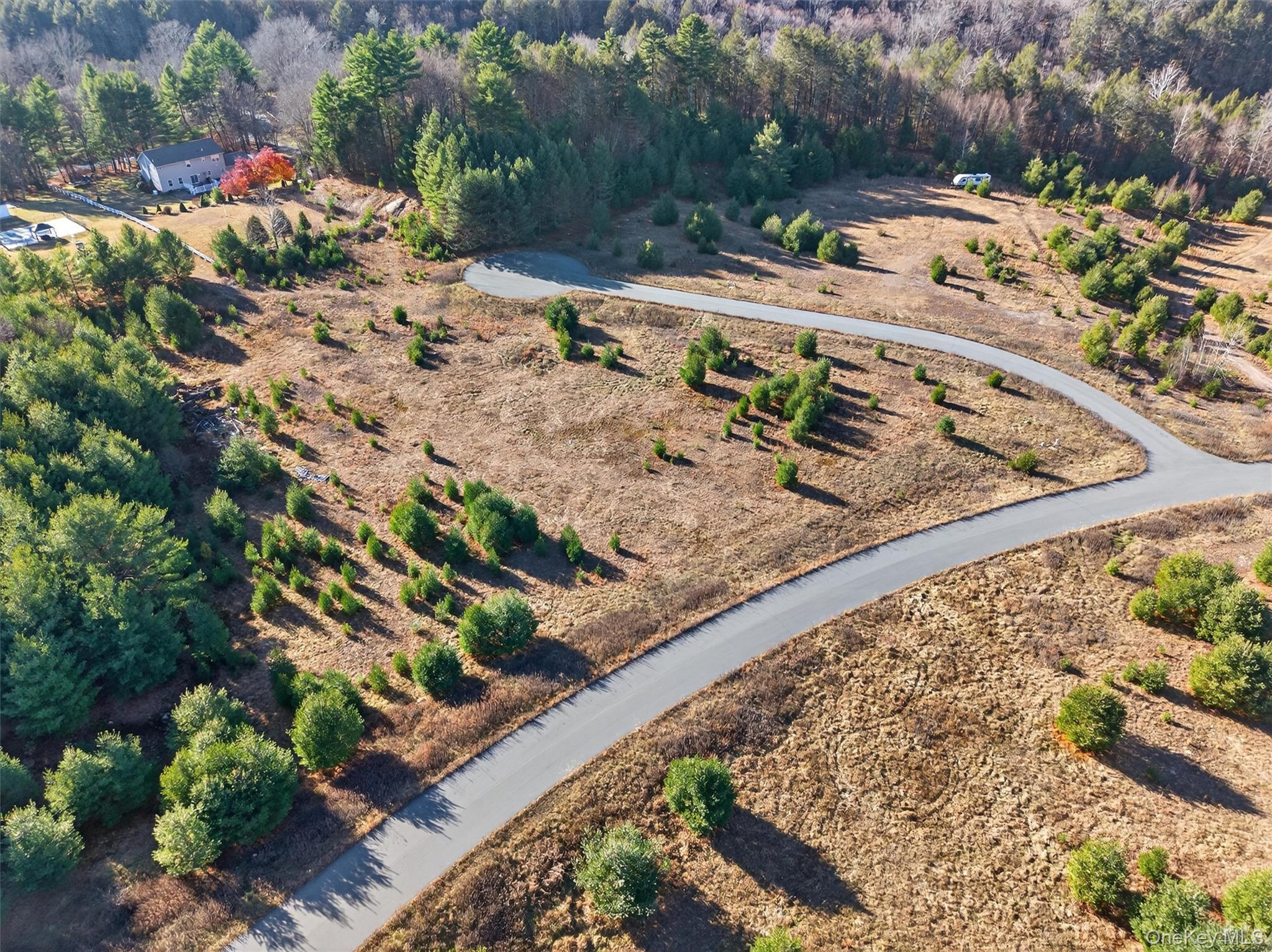 Marsh Road, Fallsburg, NY 12733