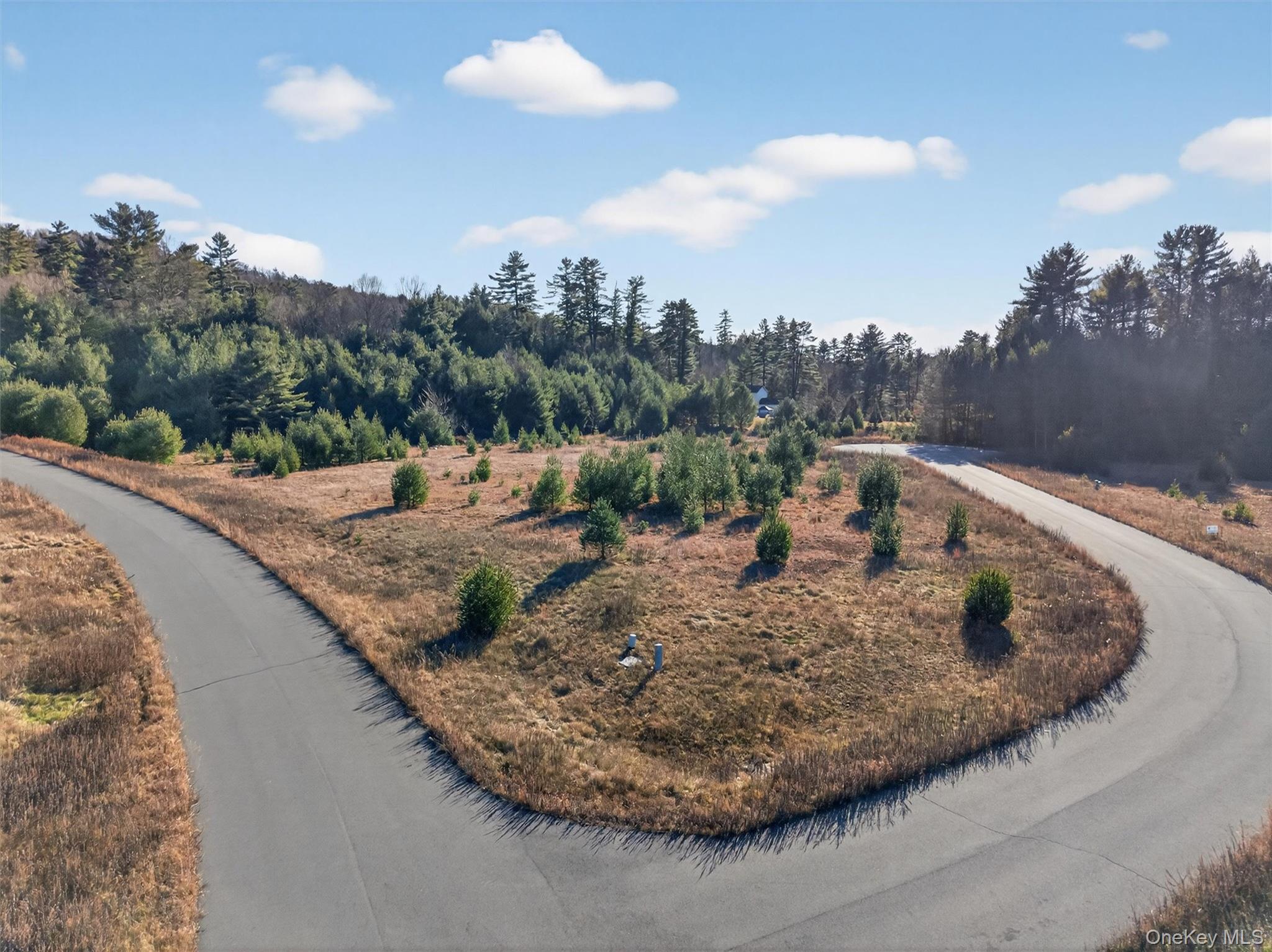 Marsh Road, Fallsburg, NY 12733