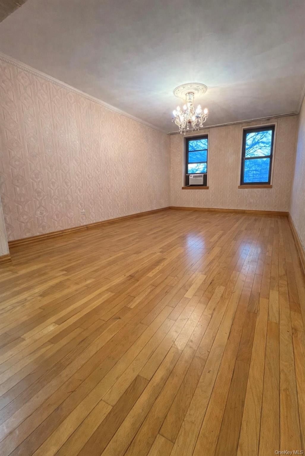 84-01 Main St # 311, Jamaica, NY 11435