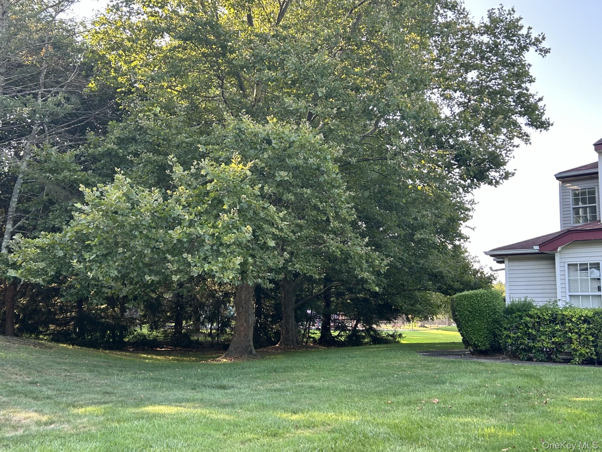 5 Norfolk Court, Coram, NY 11727