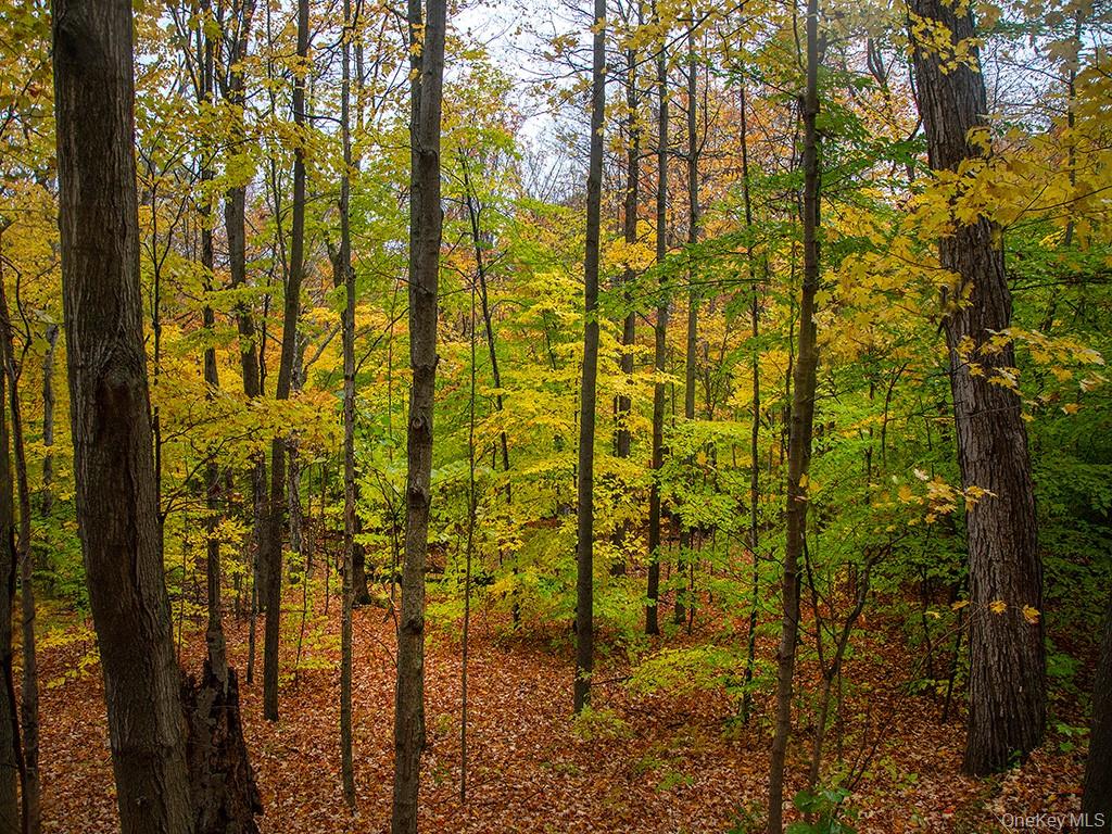 3 Chapin Trail, White Lake, NY 12786