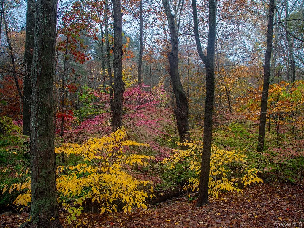 3 Chapin Trail, White Lake, NY 12786