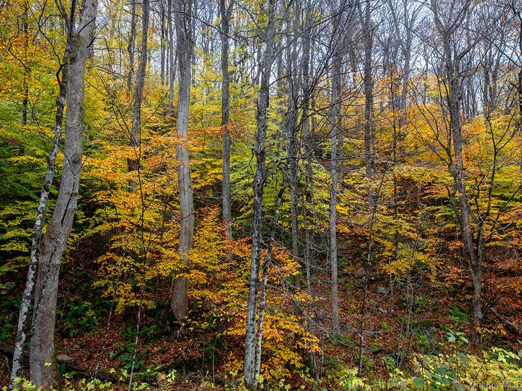 3 Chapin Trail, White Lake, NY 12786