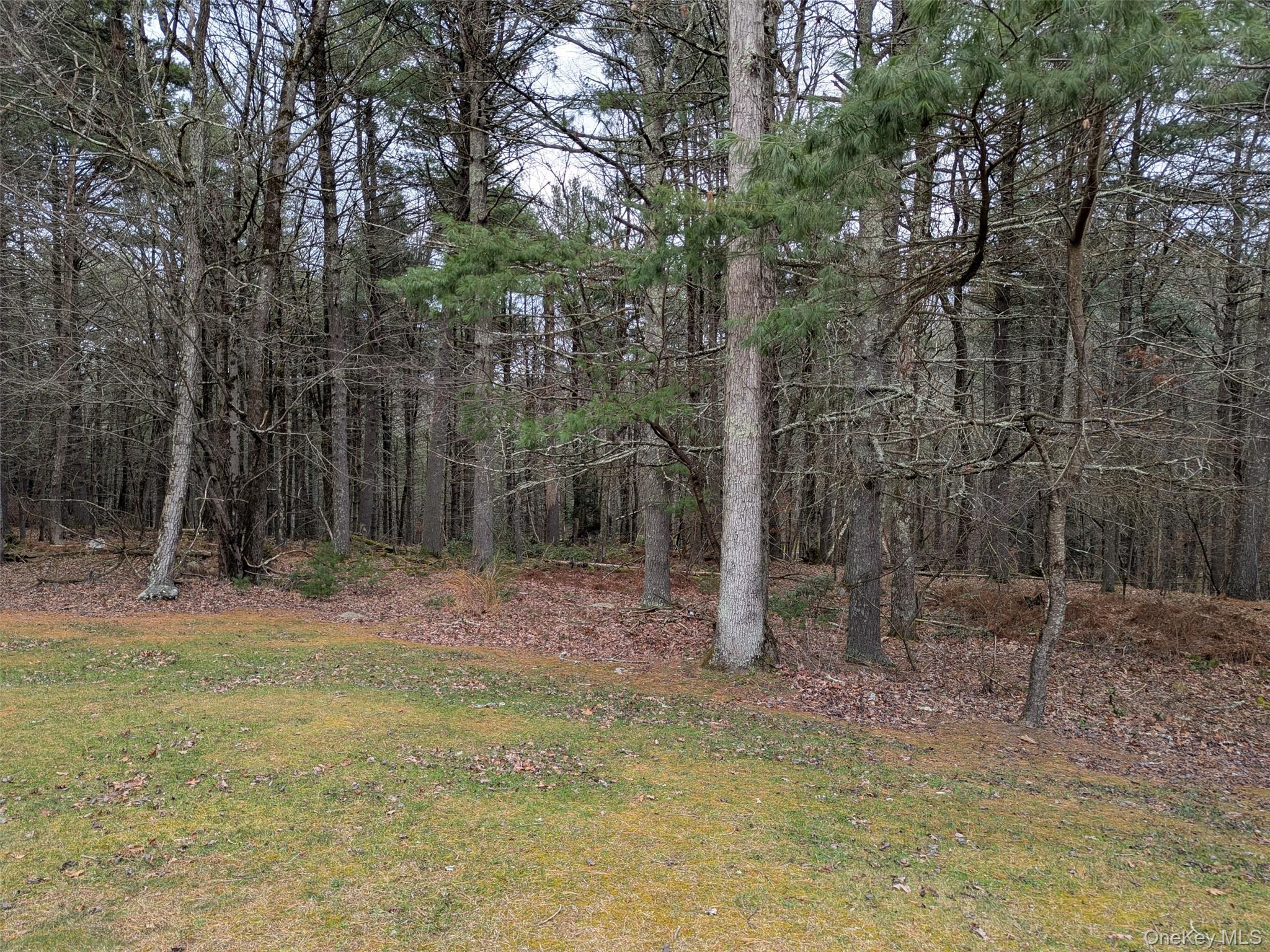 152 Old Forestburgh Road, Sparrowbush, NY 12780