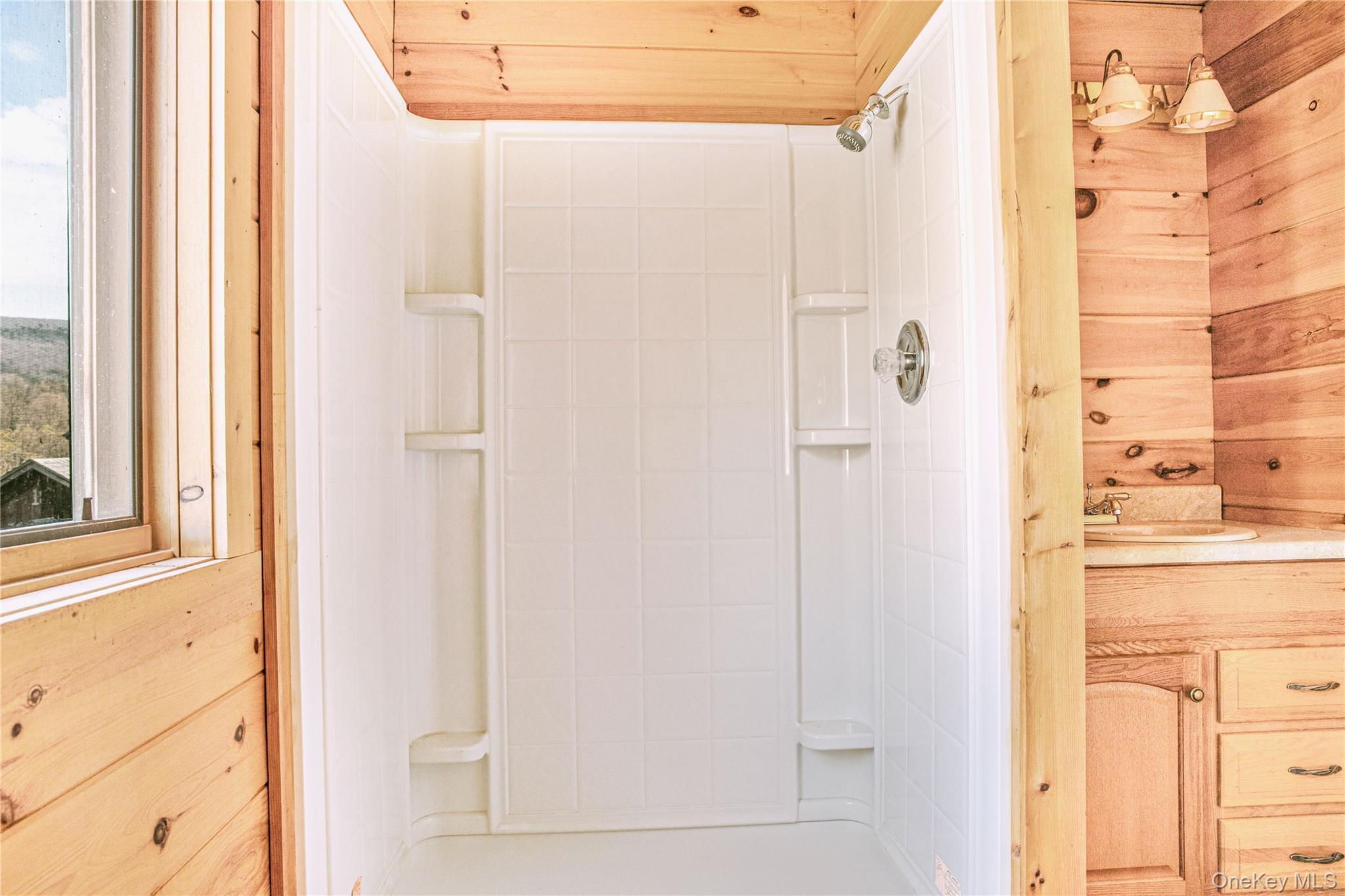 1 Bridge Street, Downsville, NY 13755