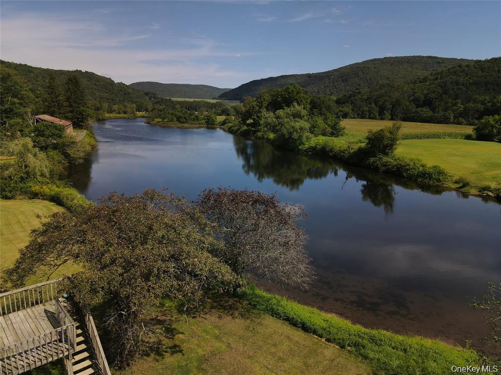 1 Bridge Street, Downsville, NY 13755