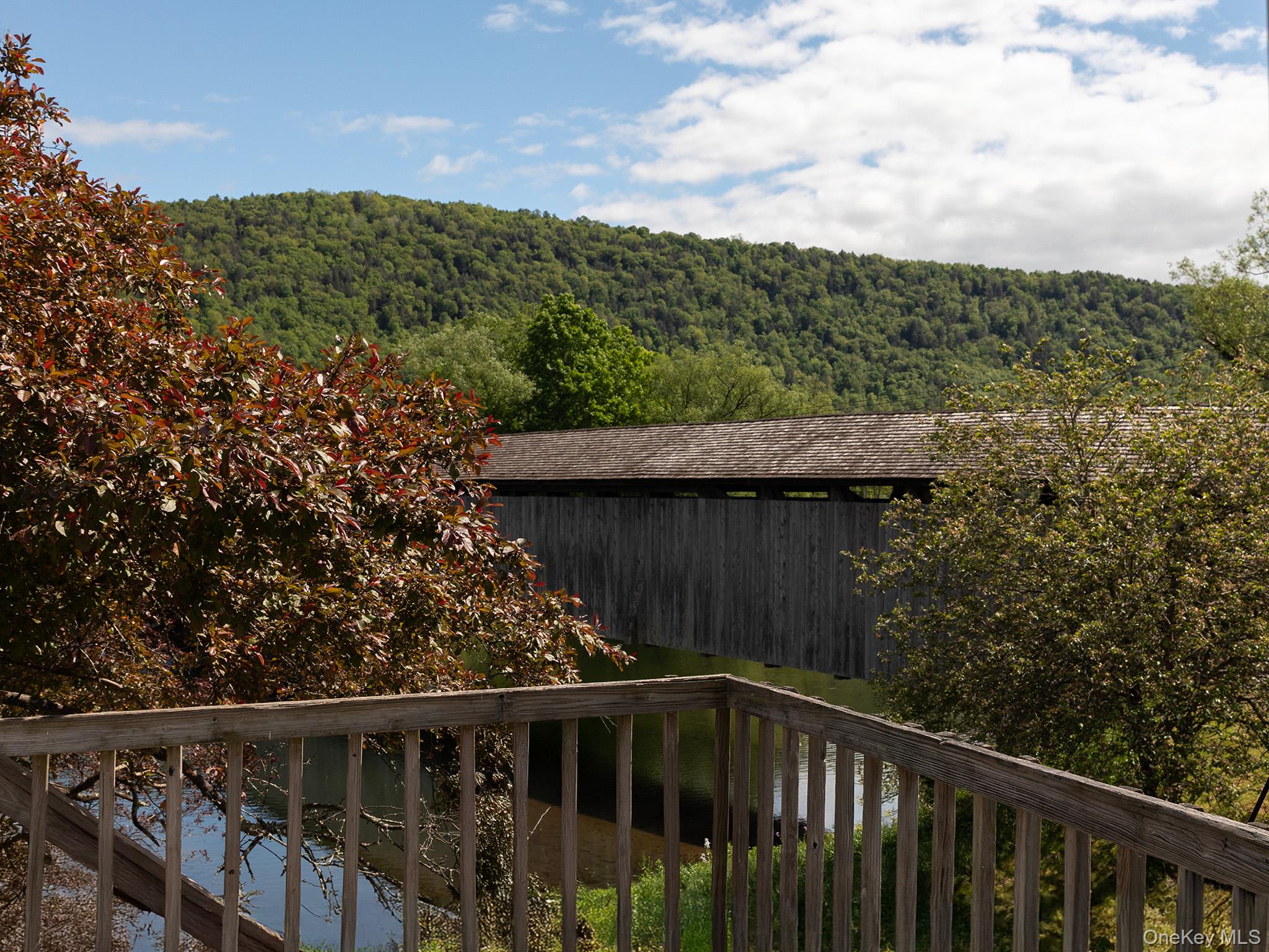 1 Bridge Street, Downsville, NY 13755