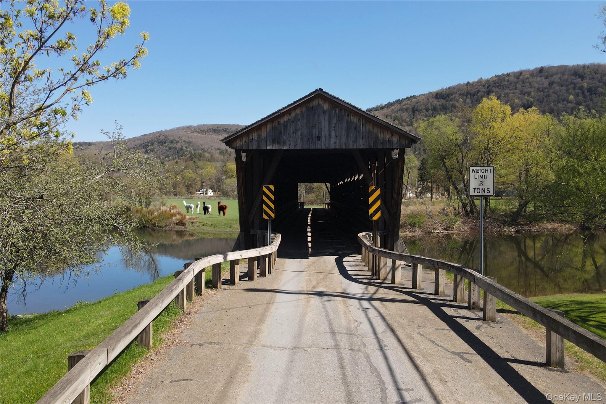 1 Bridge Street, Downsville, NY 13755