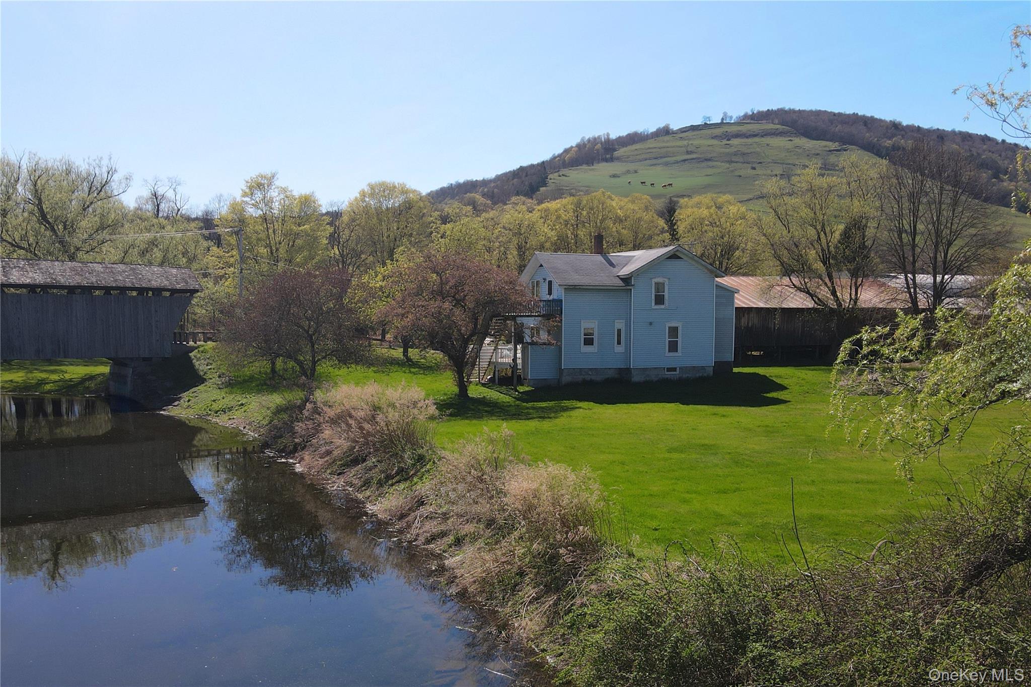 1 Bridge Street, Downsville, NY 13755