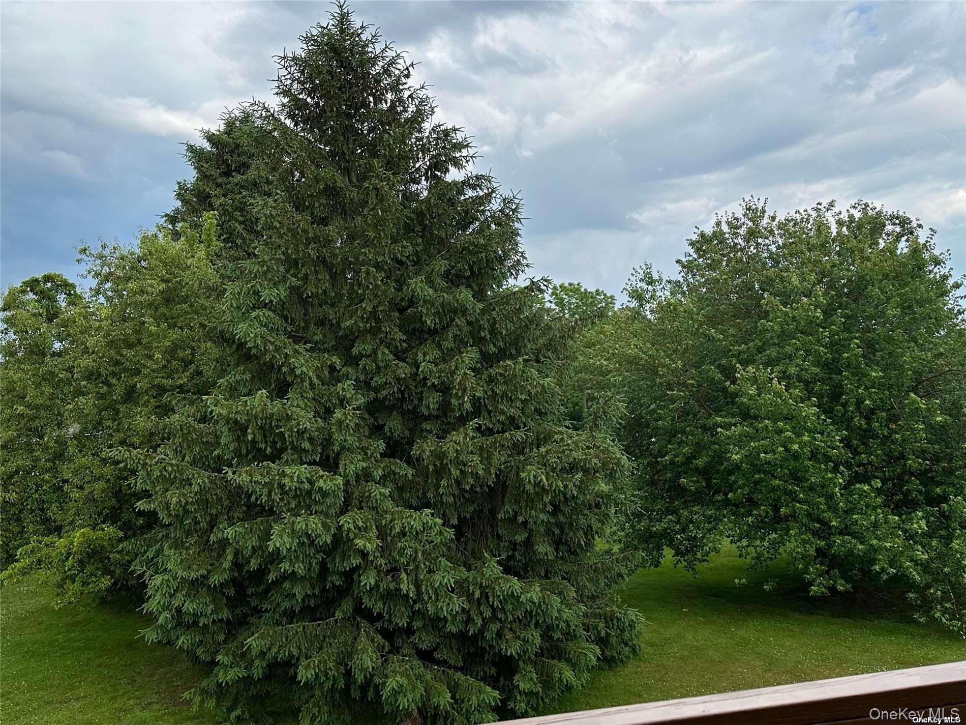 26 Bailey Court # 26, Middle Island, NY 11953