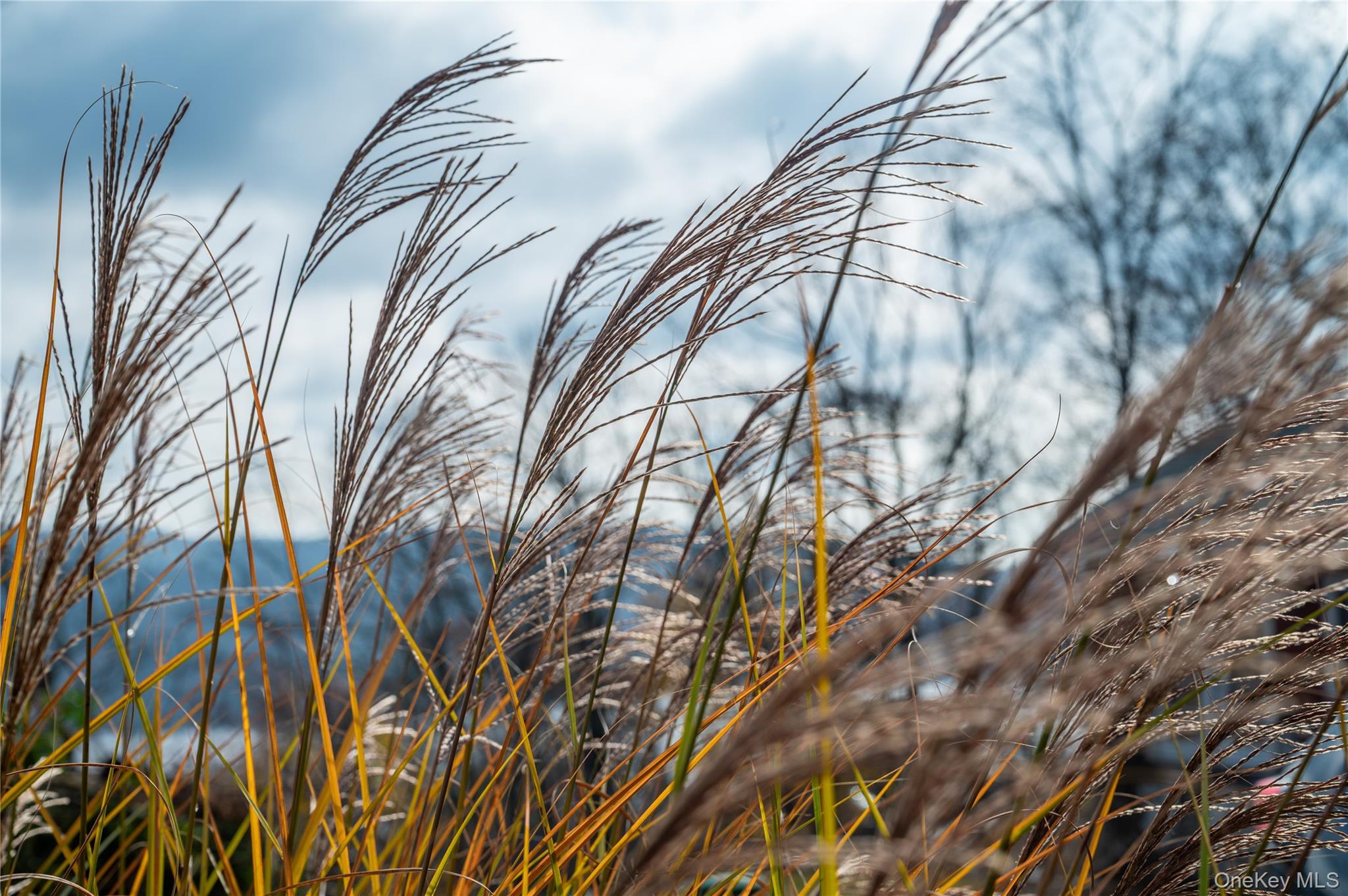 9 Deer Trail S, Greenwood Lake, NY 10925