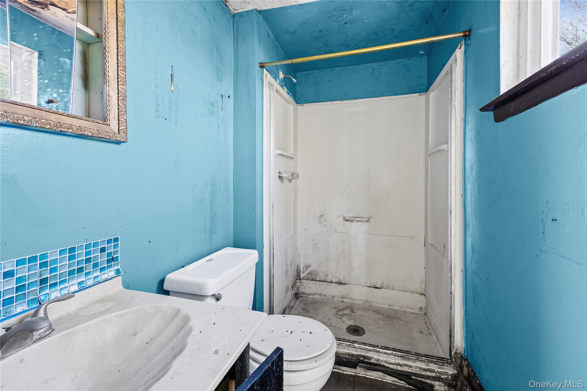 25 Crater Lake Drive, Coram, NY 11727