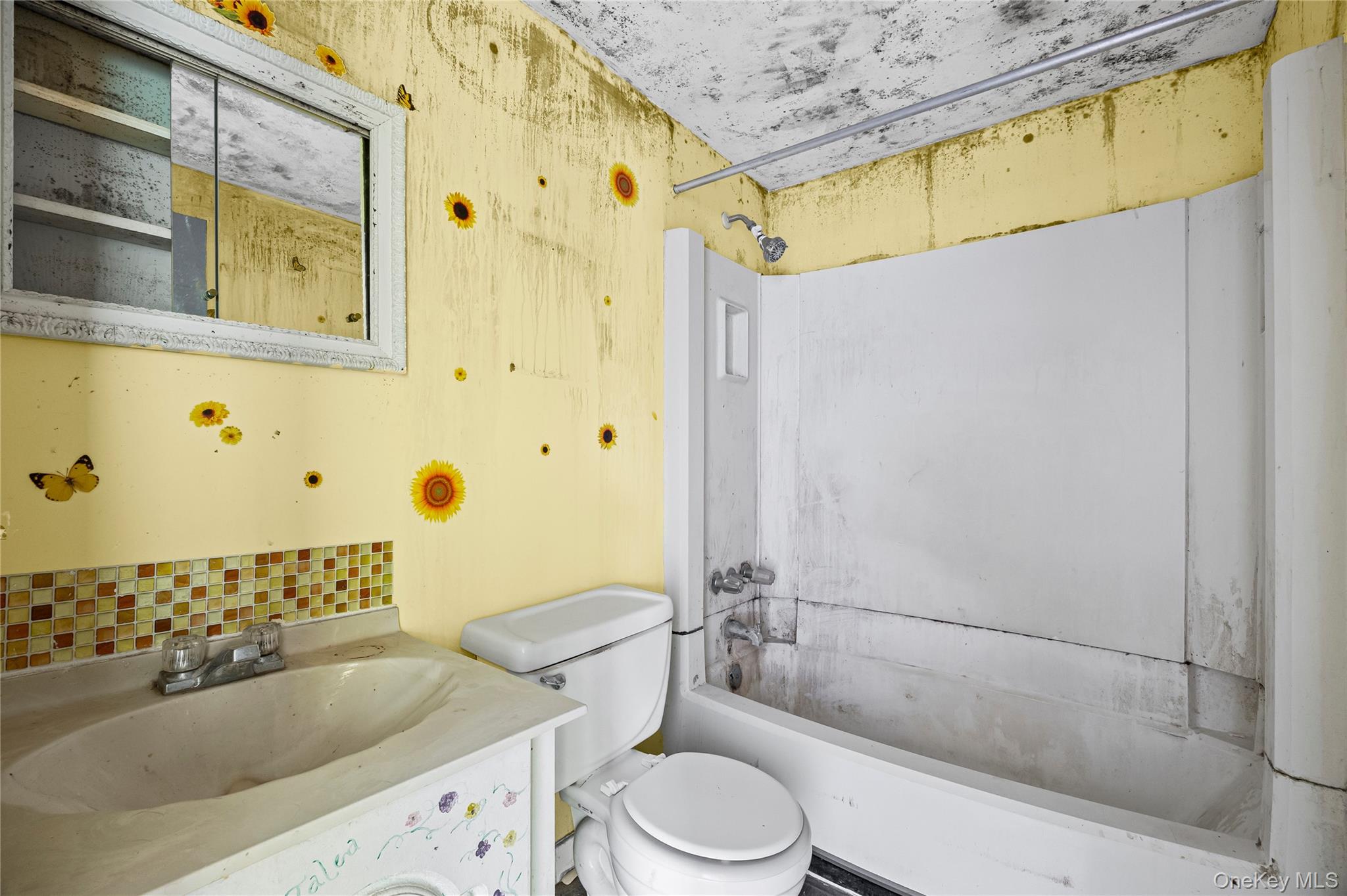 25 Crater Lake Drive, Coram, NY 11727