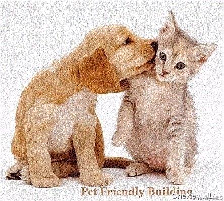 100-25 Queens Boulevard # 7FF, Forest Hills, NY 11375