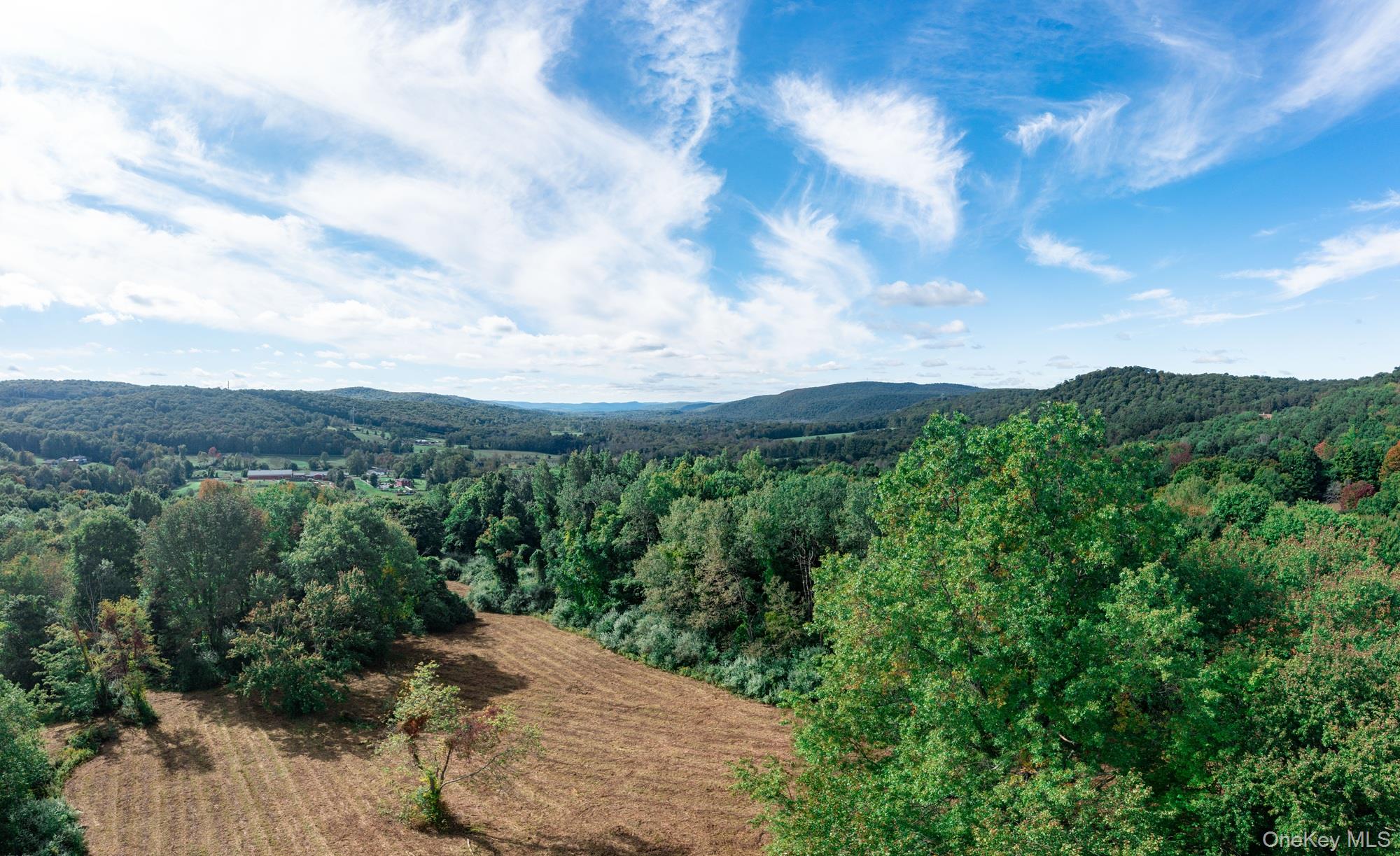 BRUSH HILL Road, Millbrook, NY 12545