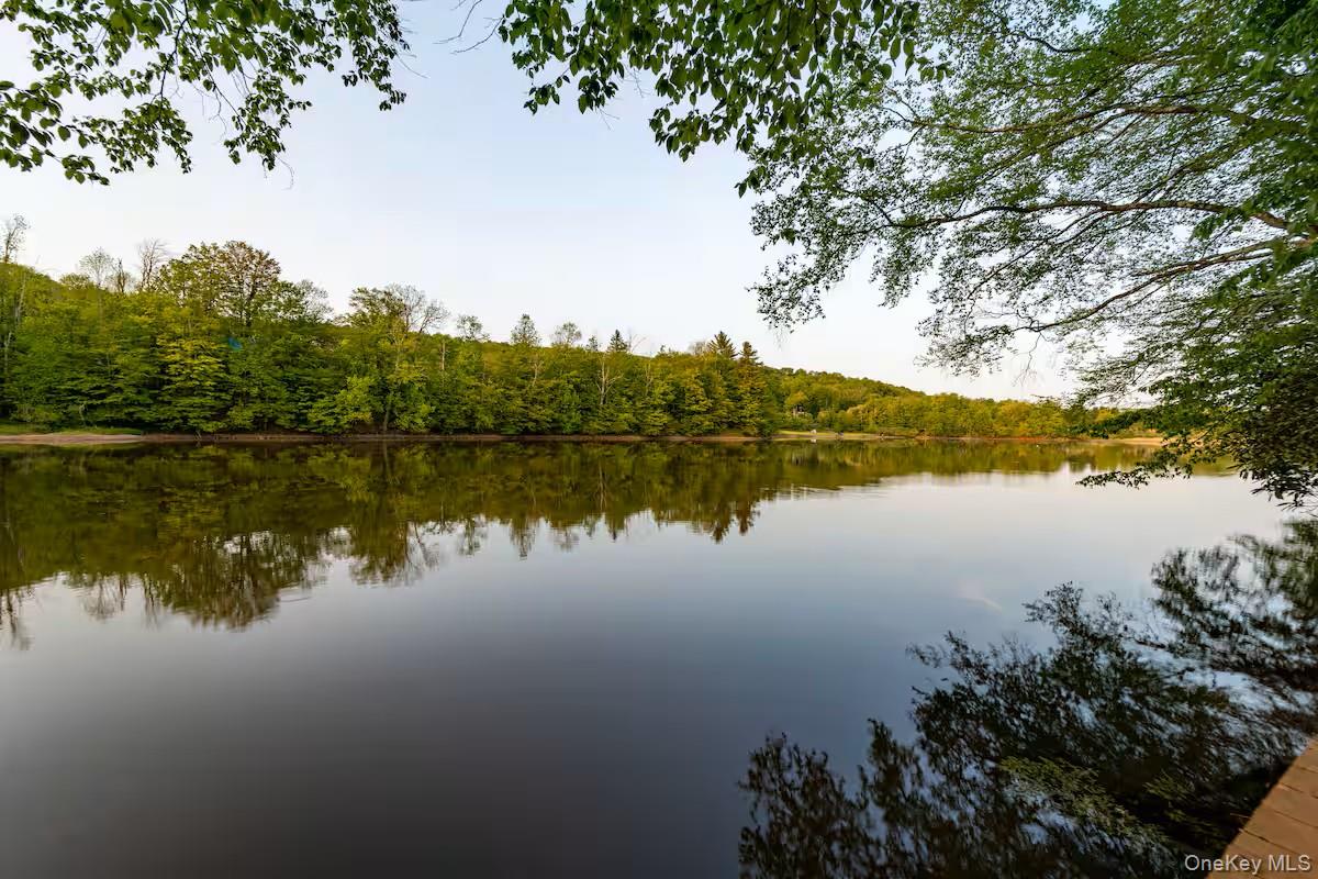 788 Swiss Hill Road N, Jeffersonville, NY 12748