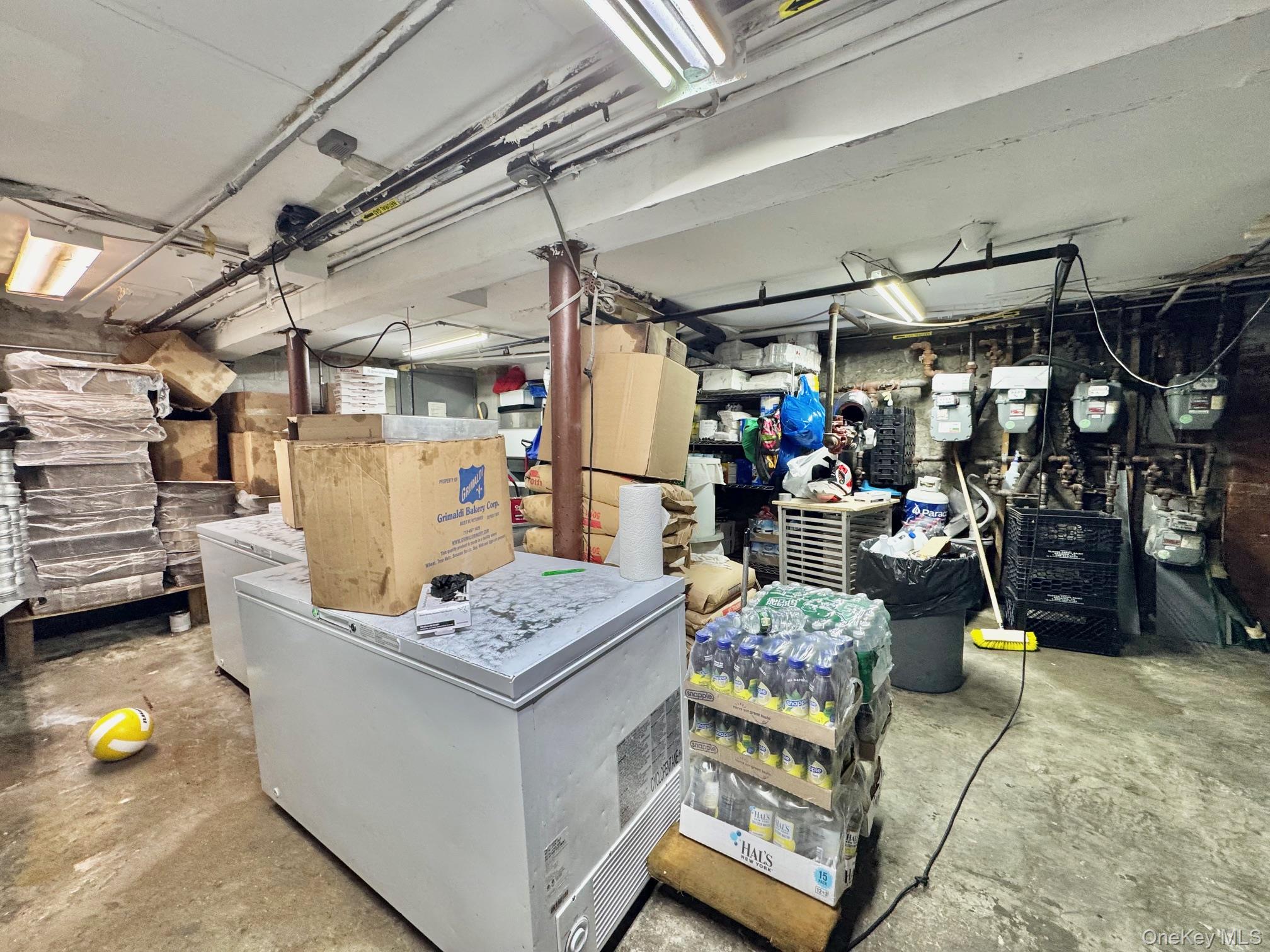 330 Halsey Street, Brooklyn, NY 11216