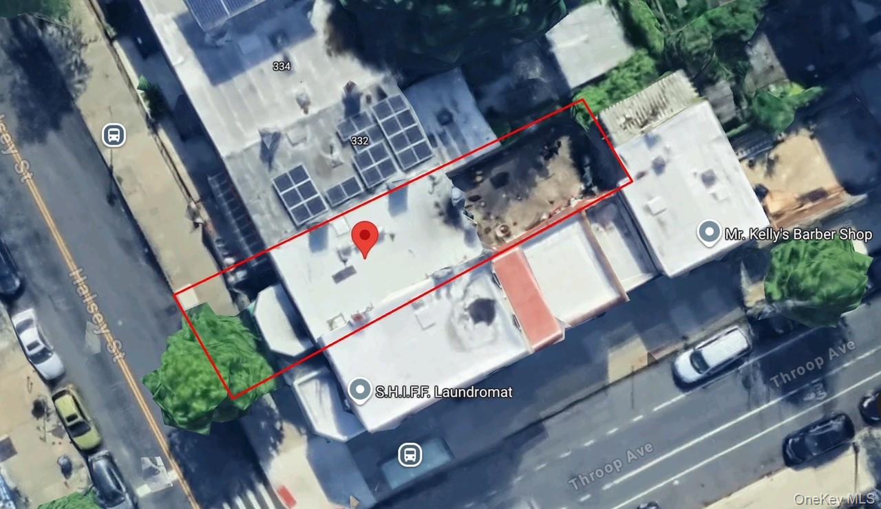 330 Halsey Street, Brooklyn, NY 11216