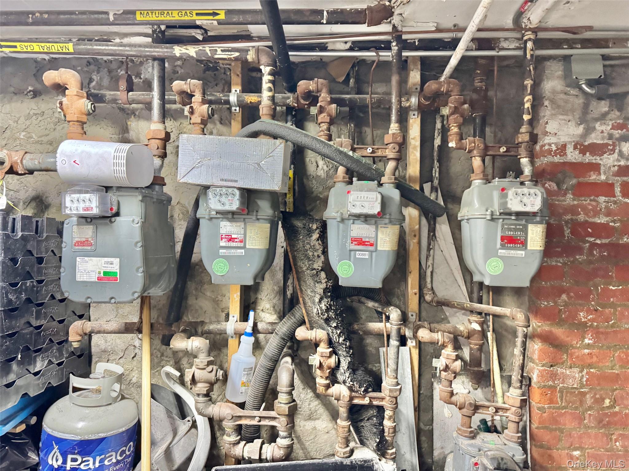 330 Halsey Street, Brooklyn, NY 11216