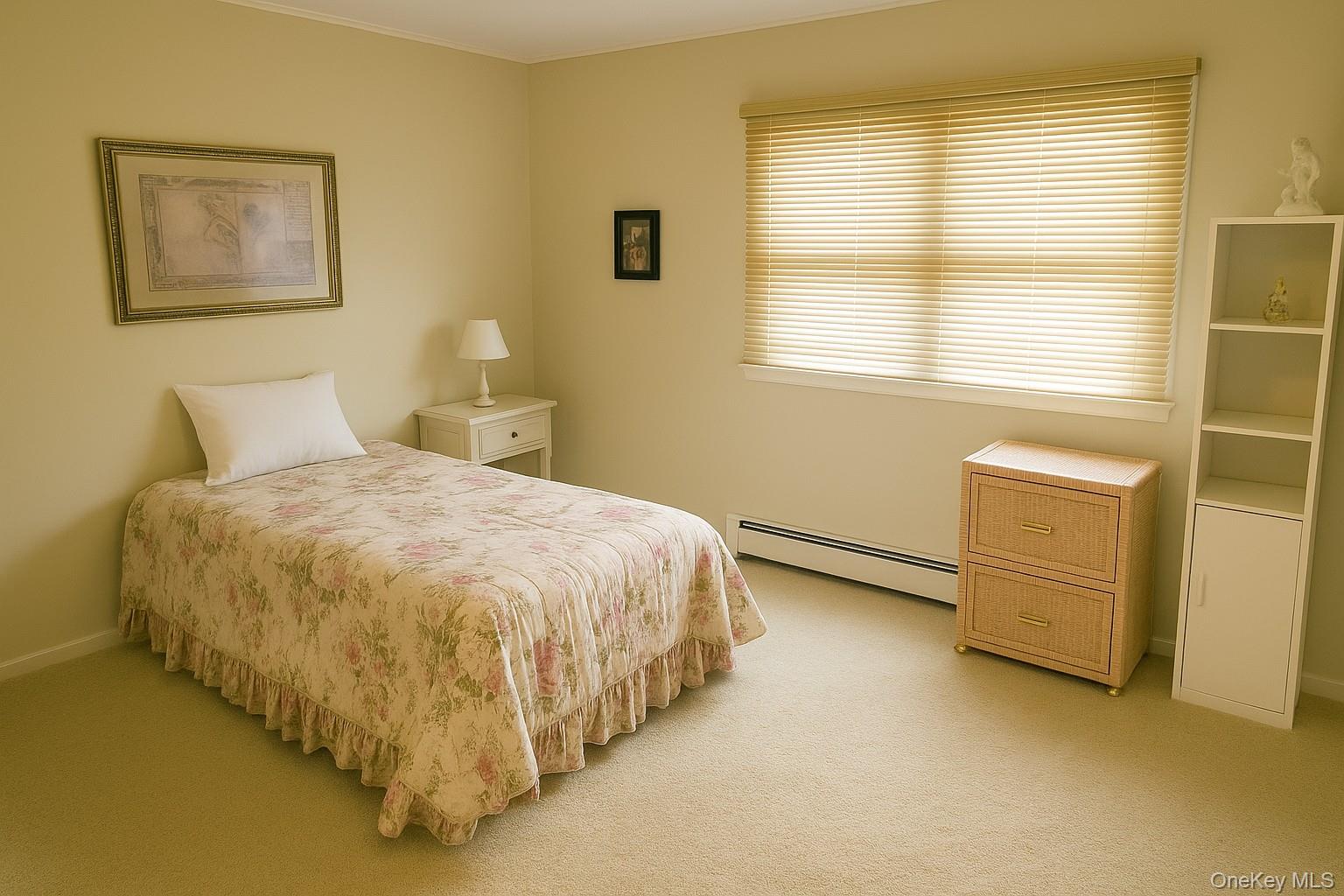 884 Troy Street, Elmont, NY 11003