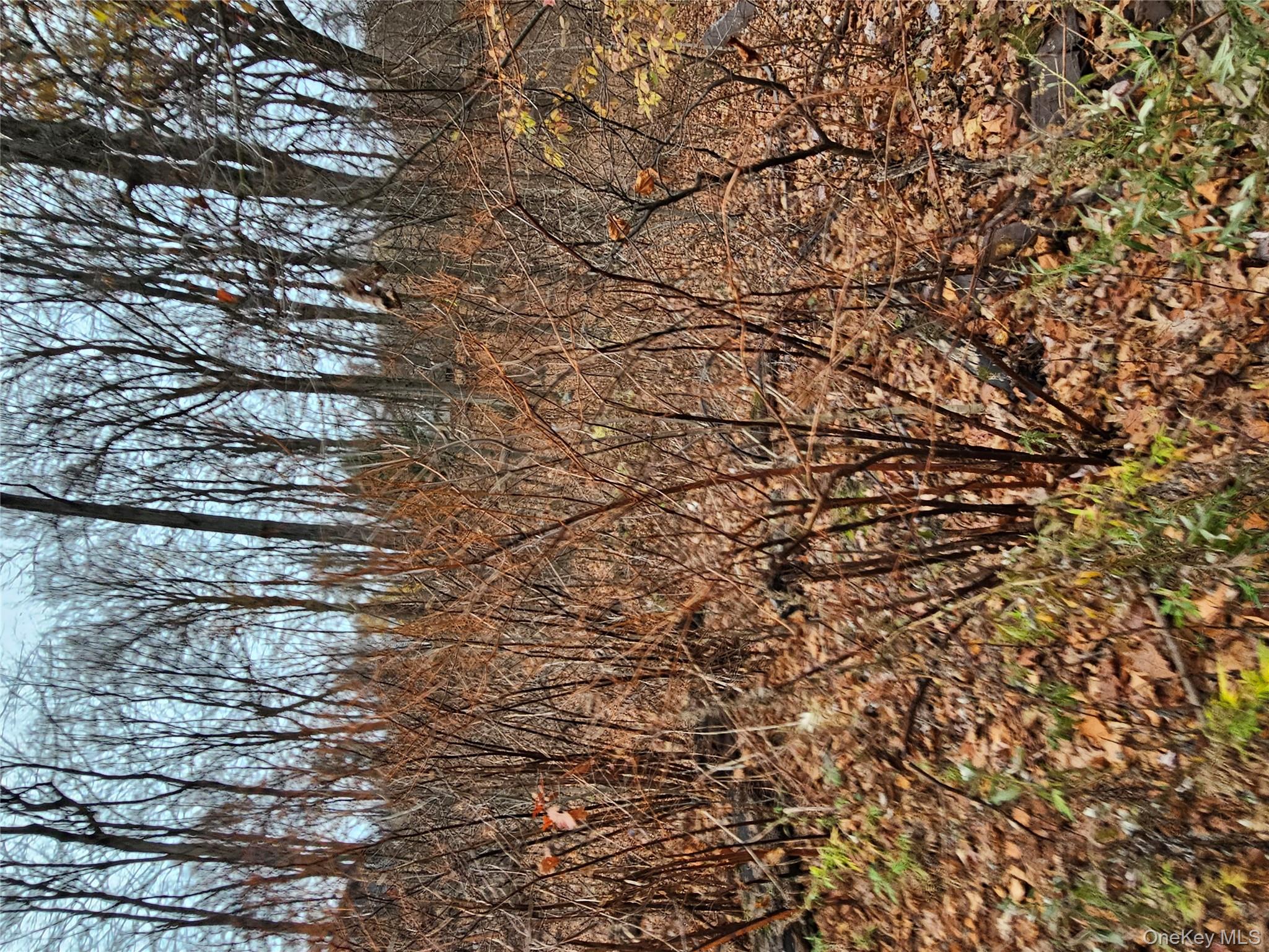 73 Sylvan Trail, Blooming Grove, NY 10950