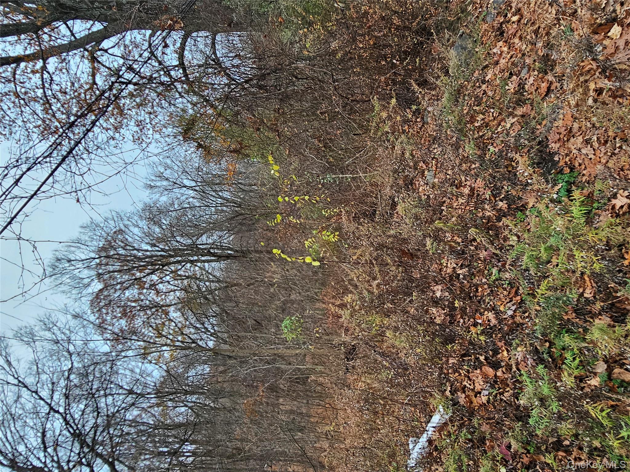 73 Sylvan Trail, Blooming Grove, NY 10950