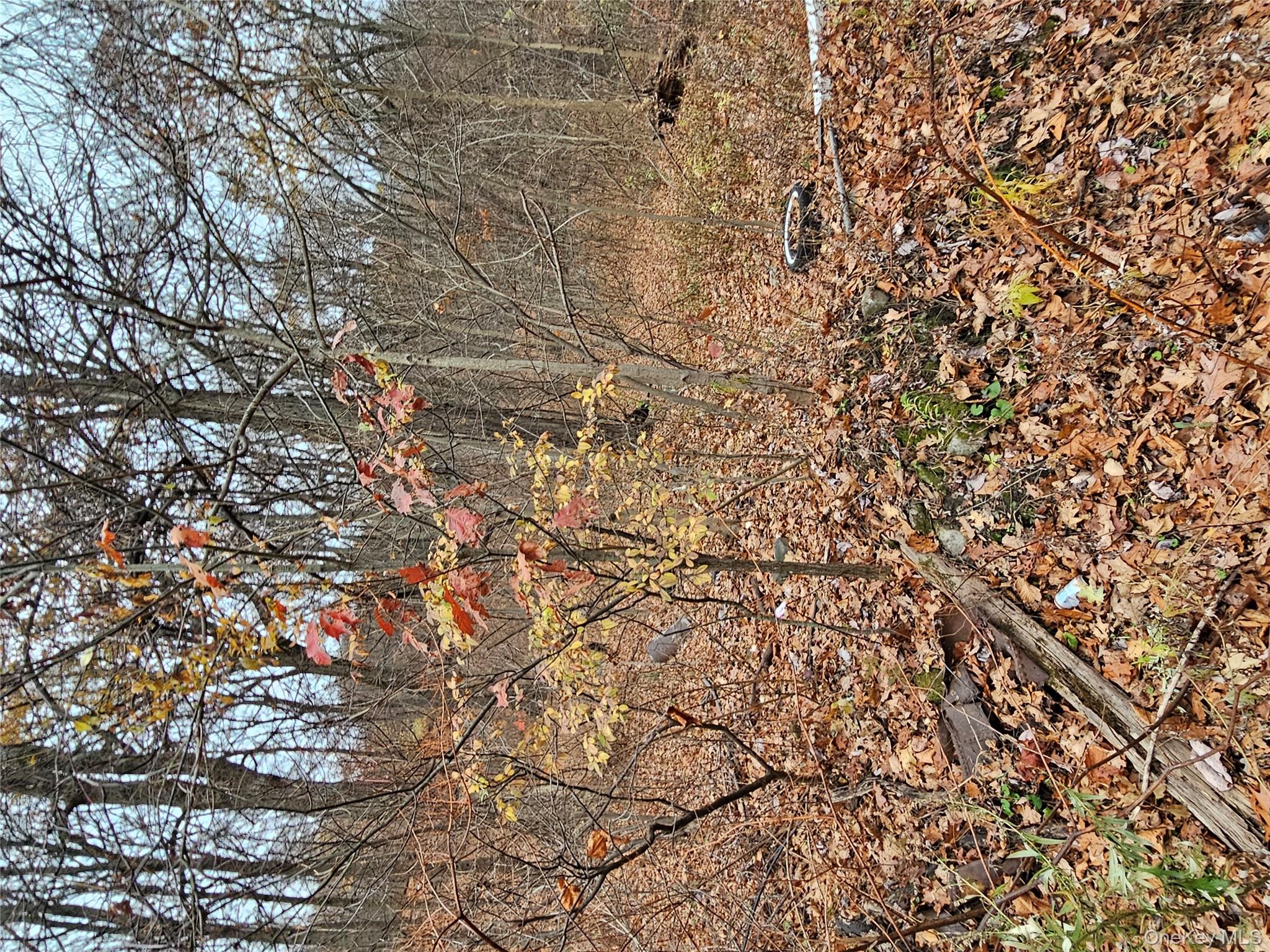 73 Sylvan Trail, Blooming Grove, NY 10950