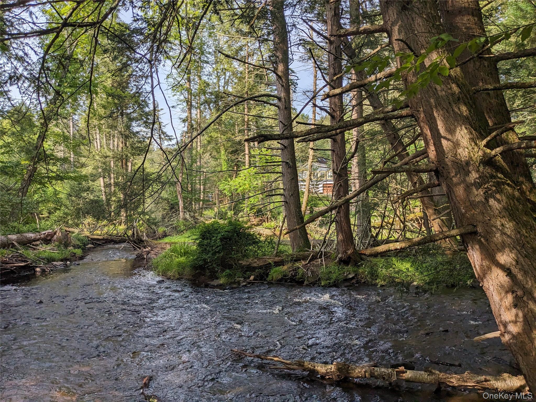 24 N Mohican Trail, Smallwood, NY 12778