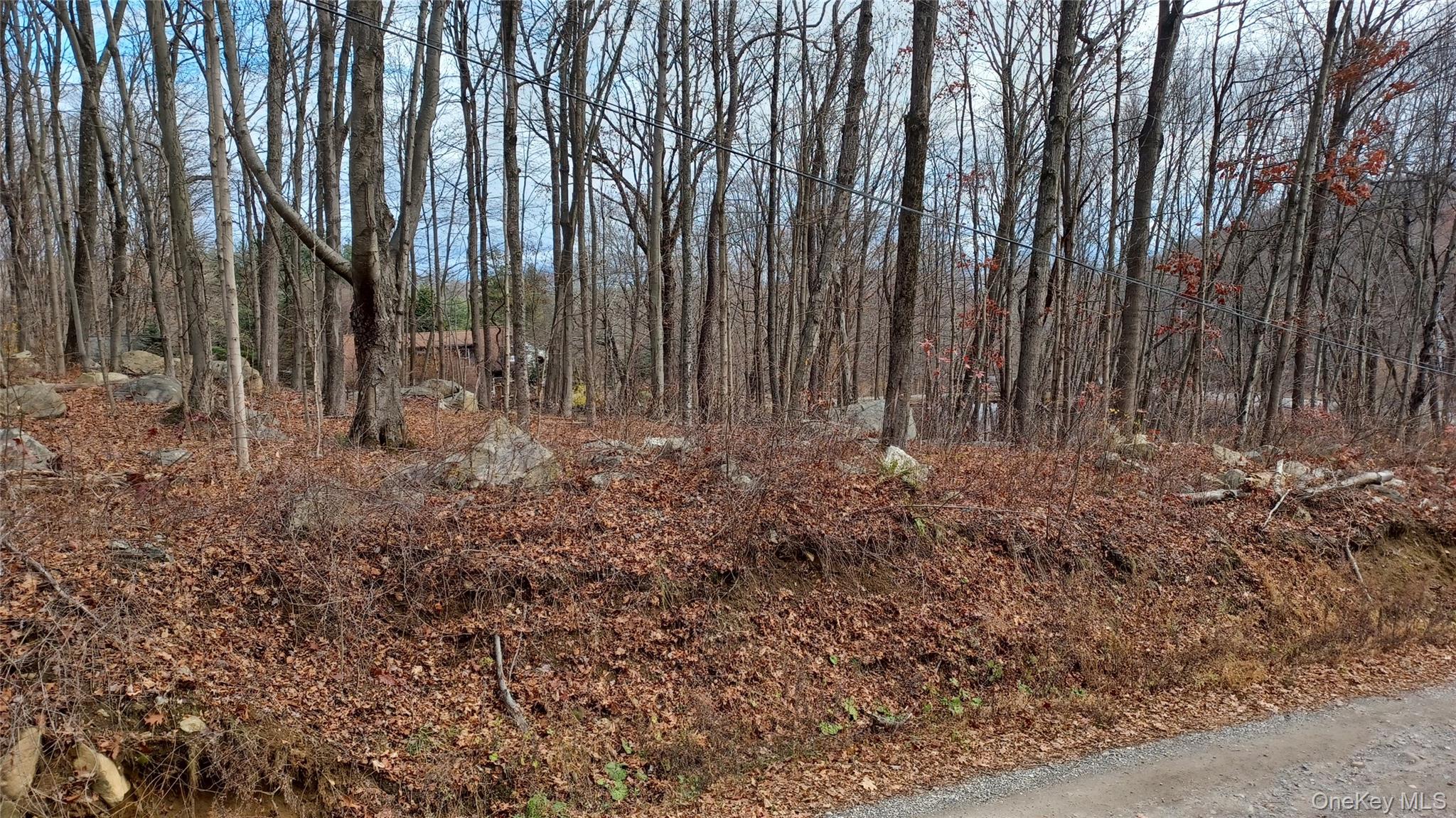 4 Prout Lane, Stormville, NY 12582