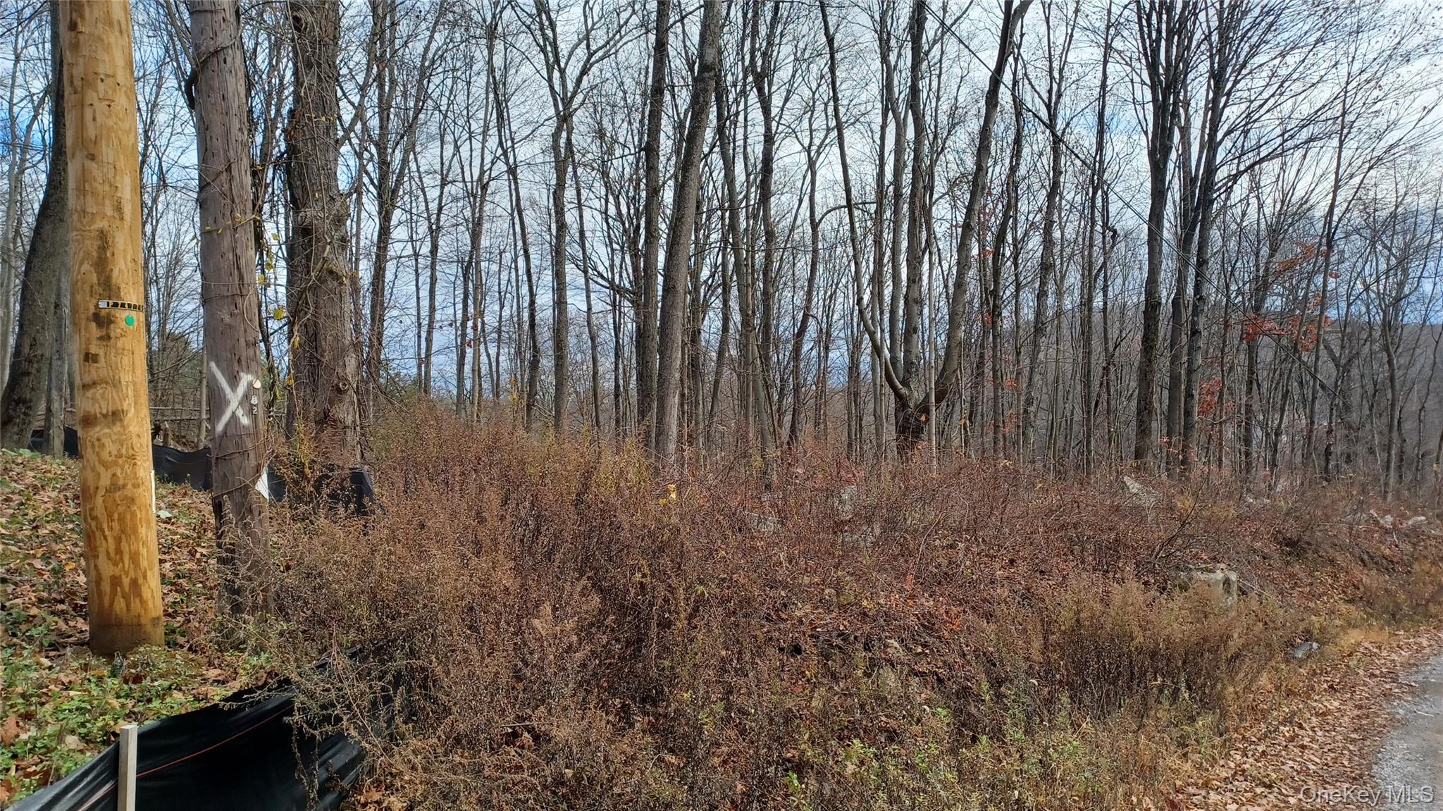 4 Prout Lane, Stormville, NY 12582