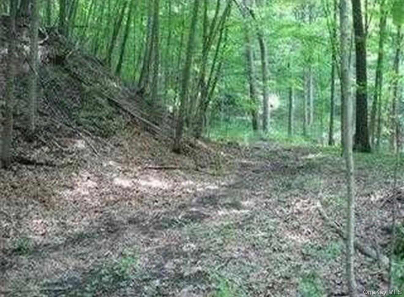 6 Thompson Drive, Staatsburg, NY 12580