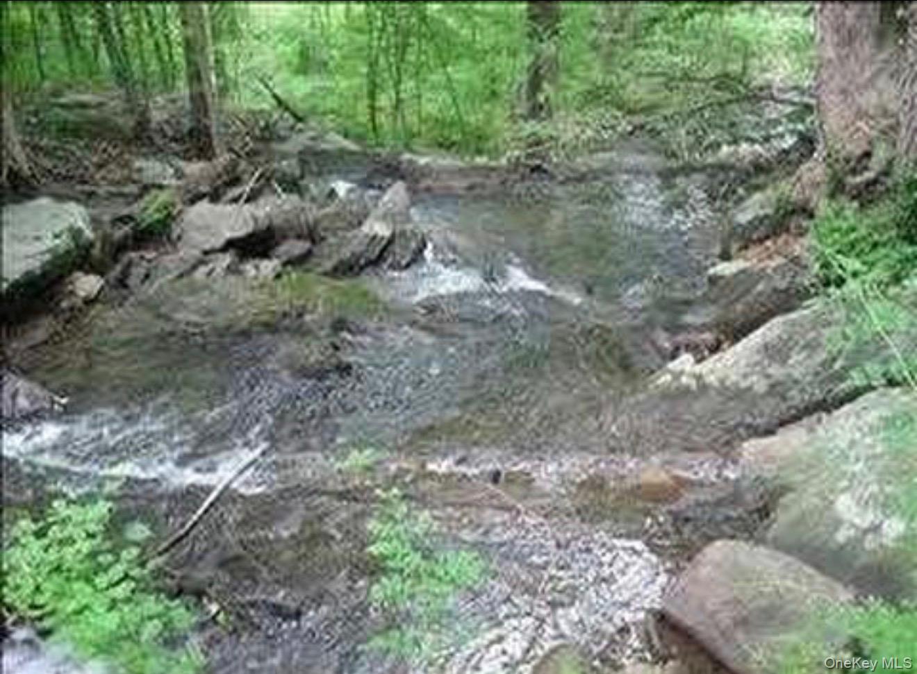 6 Thompson Drive, Staatsburg, NY 12580