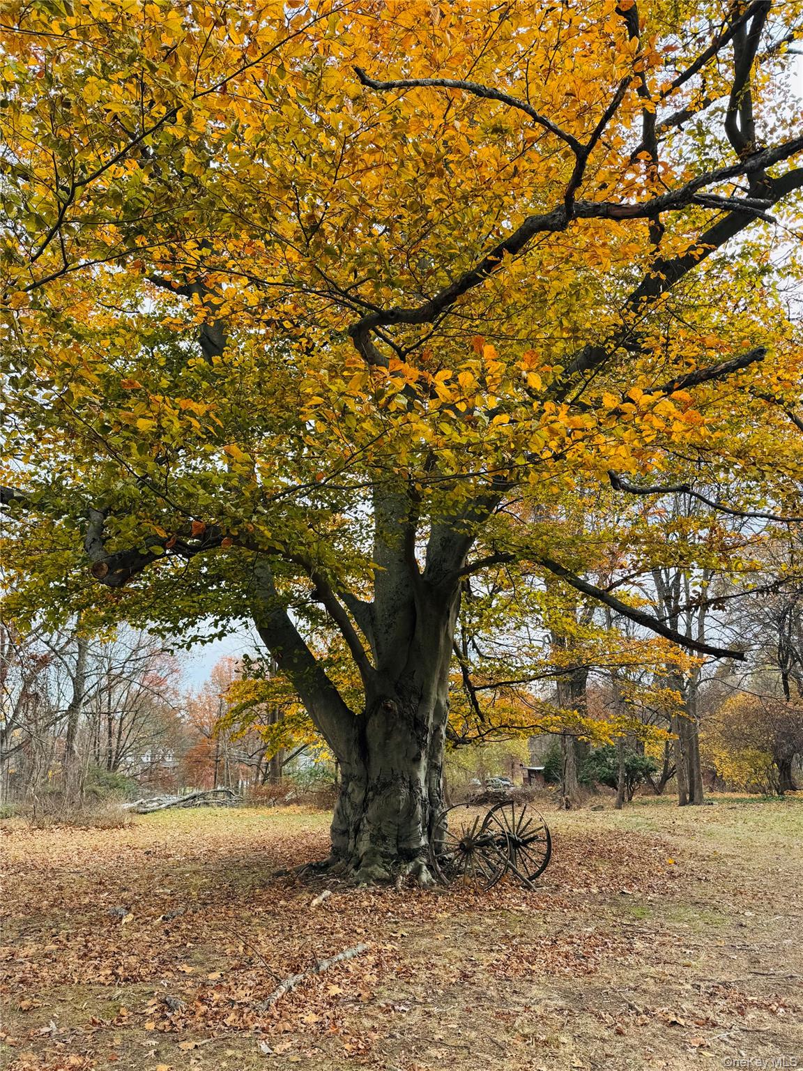 72 Webb Road, Middletown, NY 10940