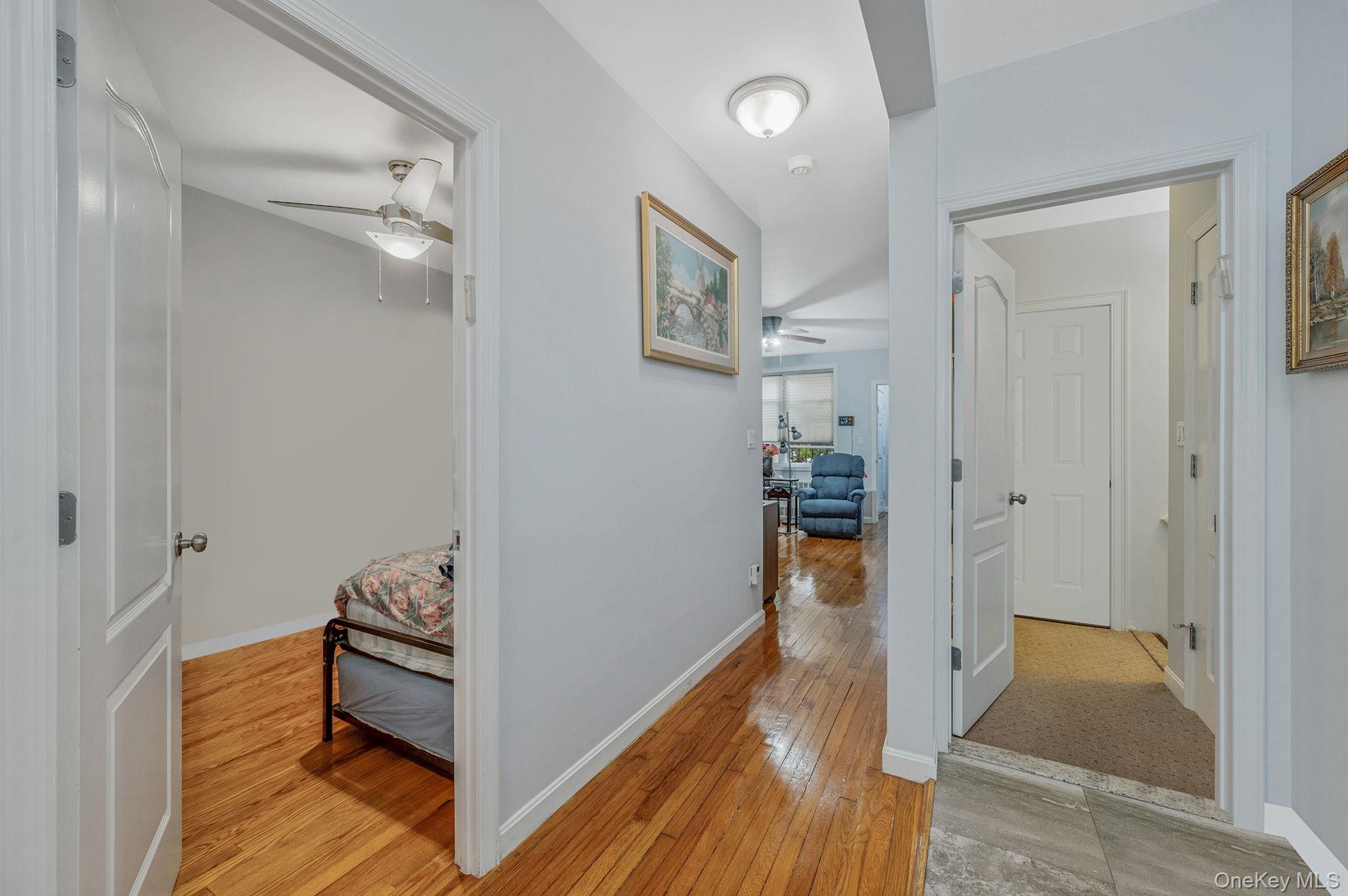 66-11 Burns Street, Rego Park, NY 11374